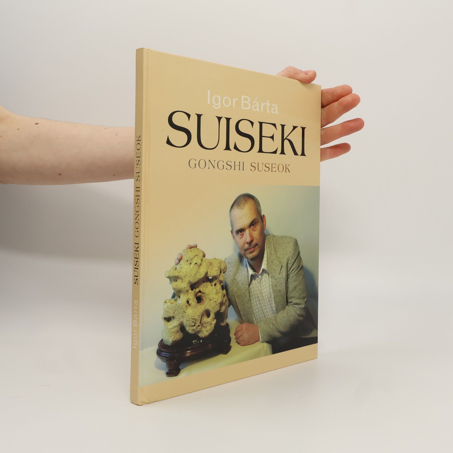 Suiseki. Gongshi, suseok