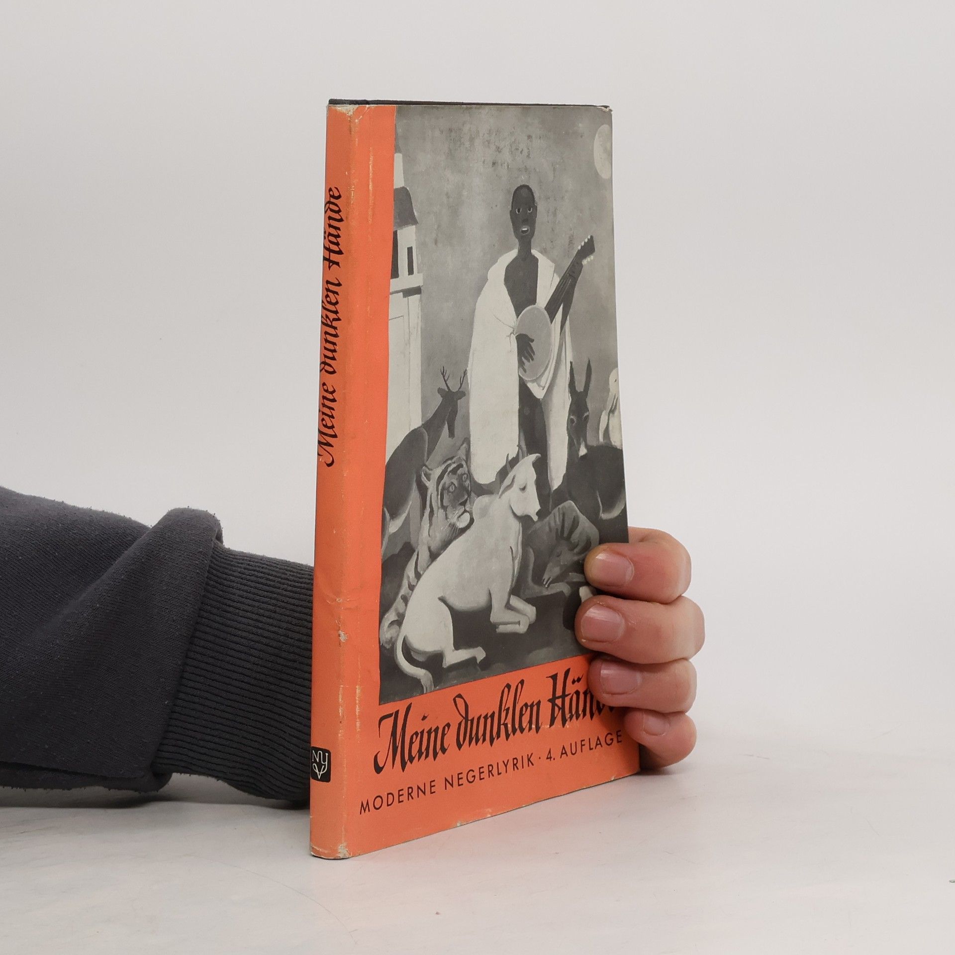 Kolektív autorov Meine dunklen Hände