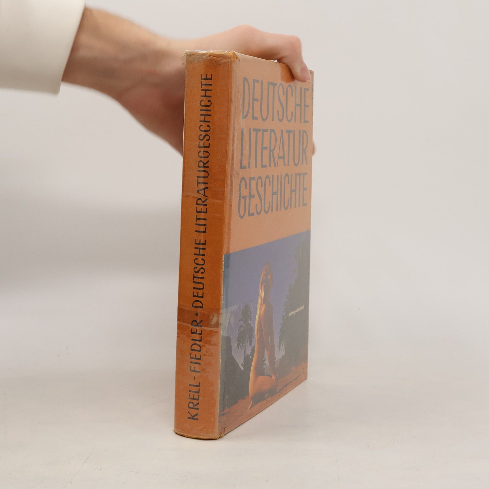 Collectif d'auteurs Deutsche Literatur Geschichte