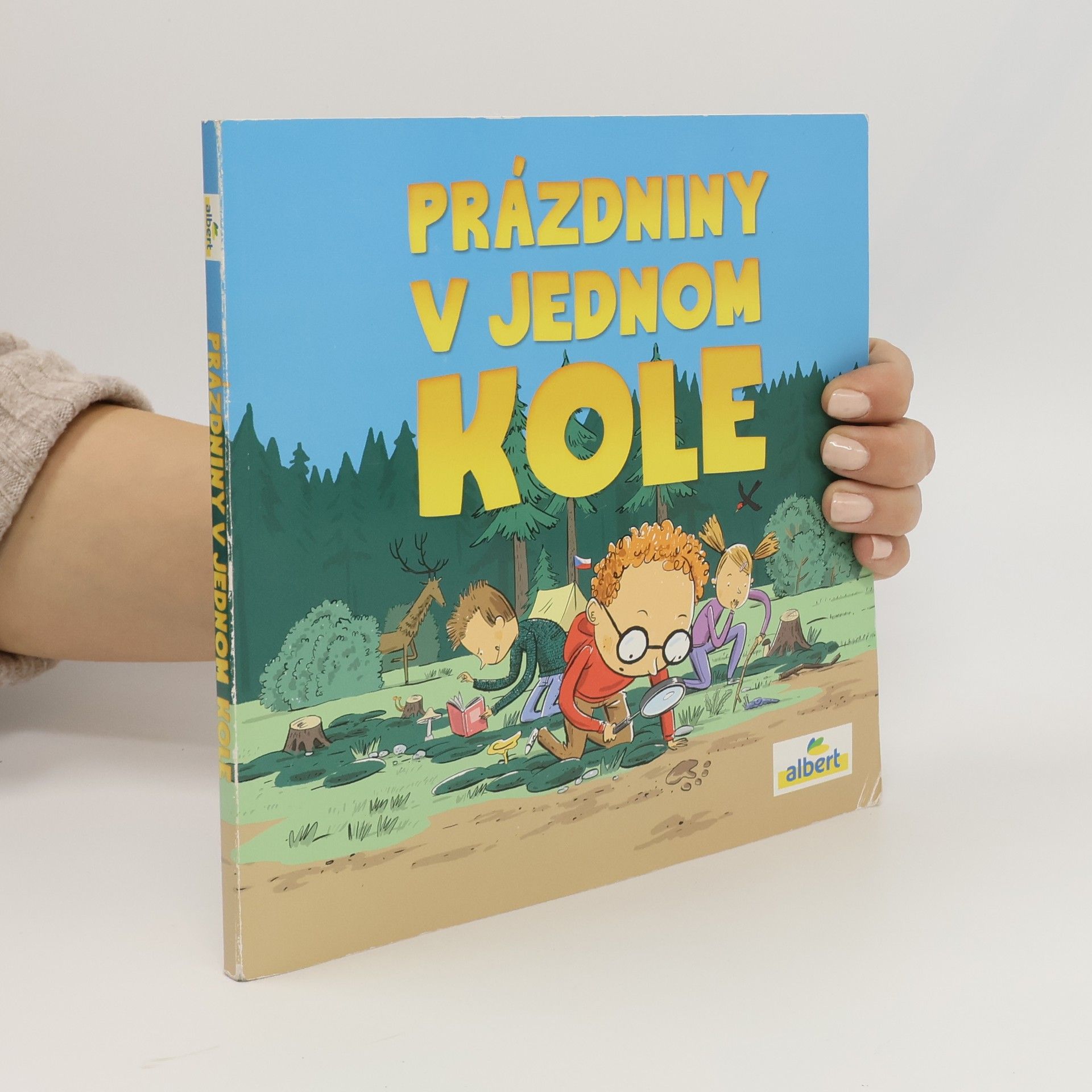 Kolektív autorov Prázdniny v jednom kole