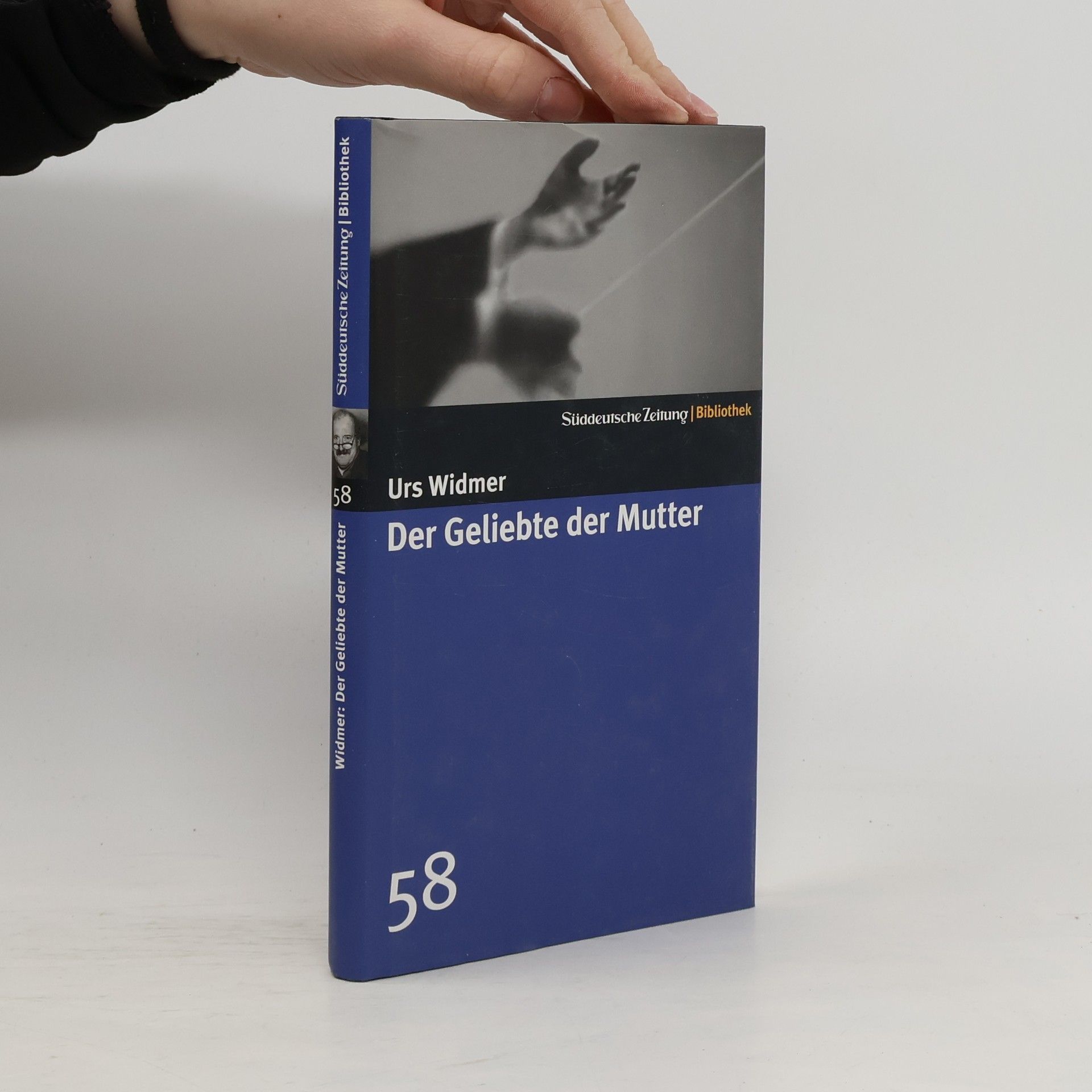 Urs Widmer Der Geliebte der Mutter