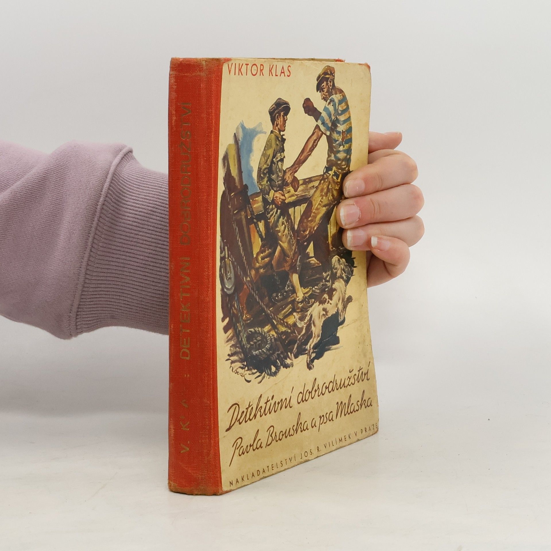 Detektivní dobrodružství Pavla Brouska a psa Mlaska