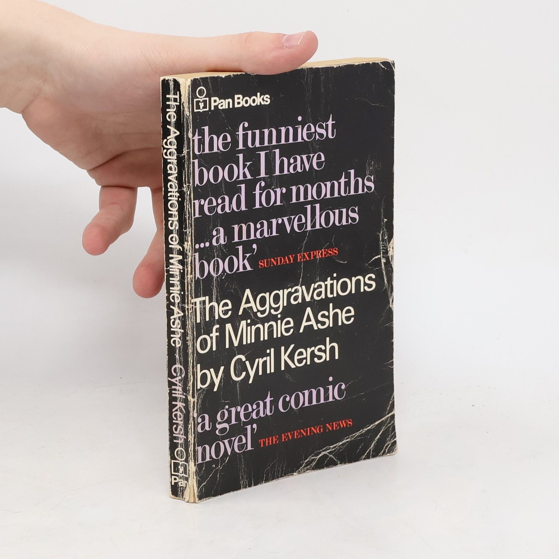 Aggravations of Minnie Ashe