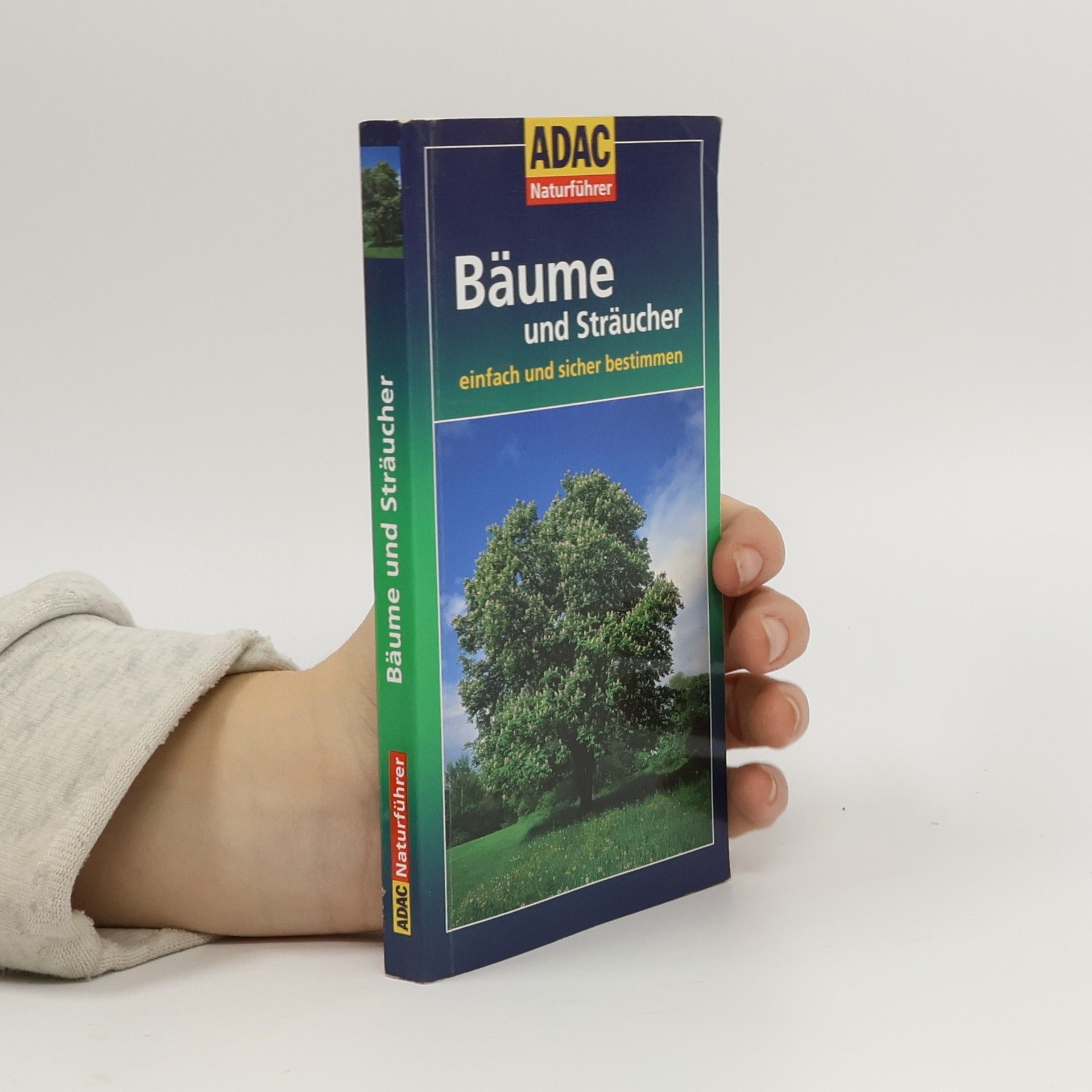 Michael Eppinger Bäume und Sträucher einfach und sicher bestimmen