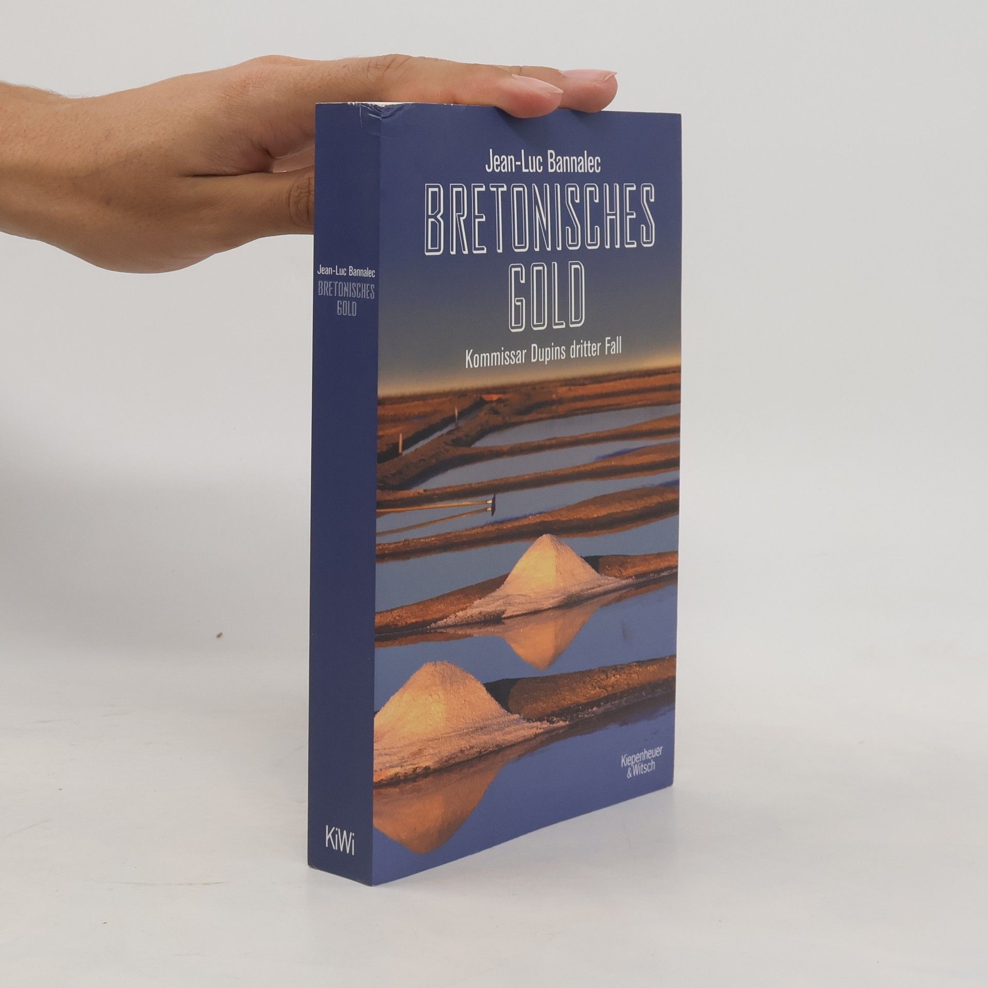 Jörg Bong Bretonisches Gold: Kommissar Dupins dritter Fall