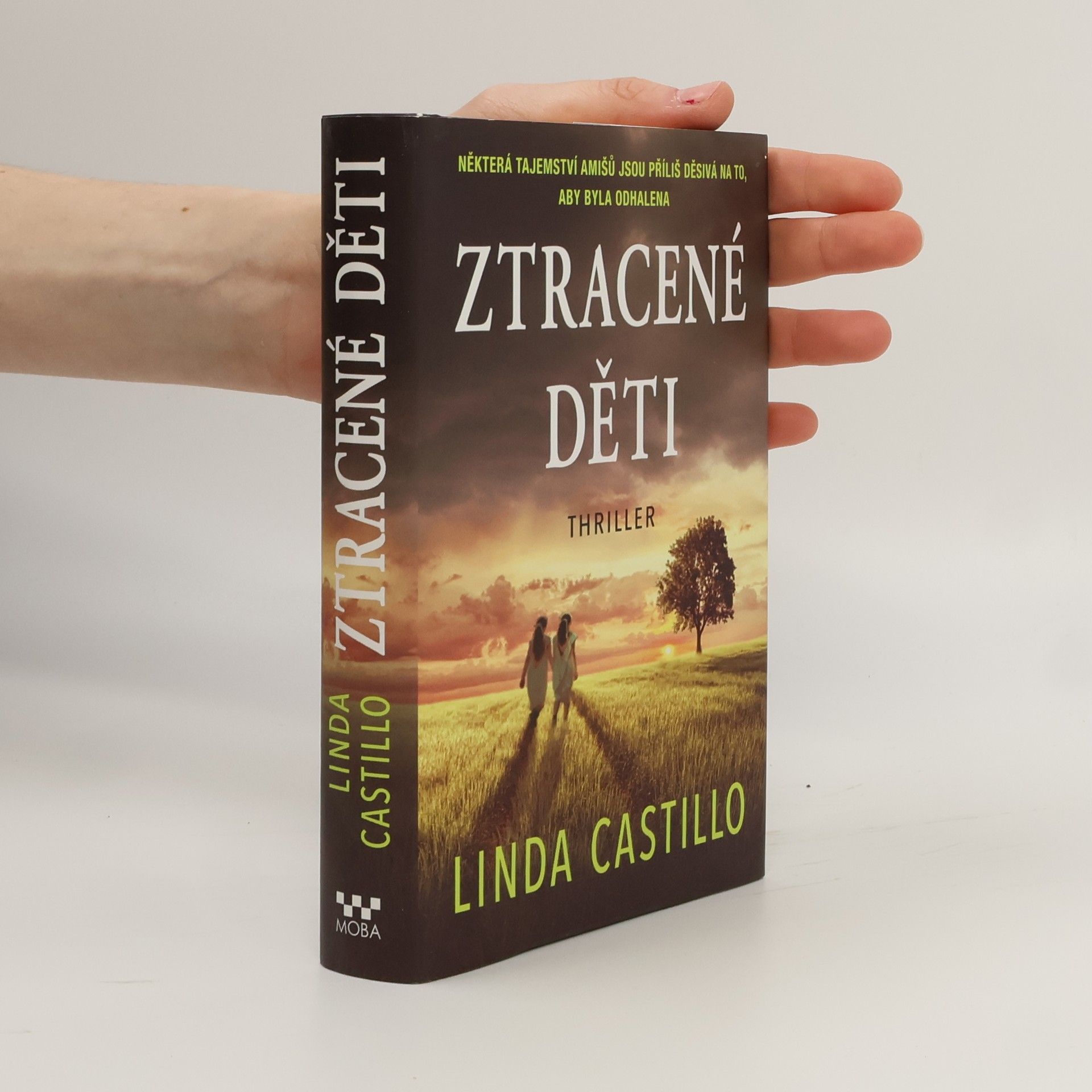 Linda Castillo Ztracené děti