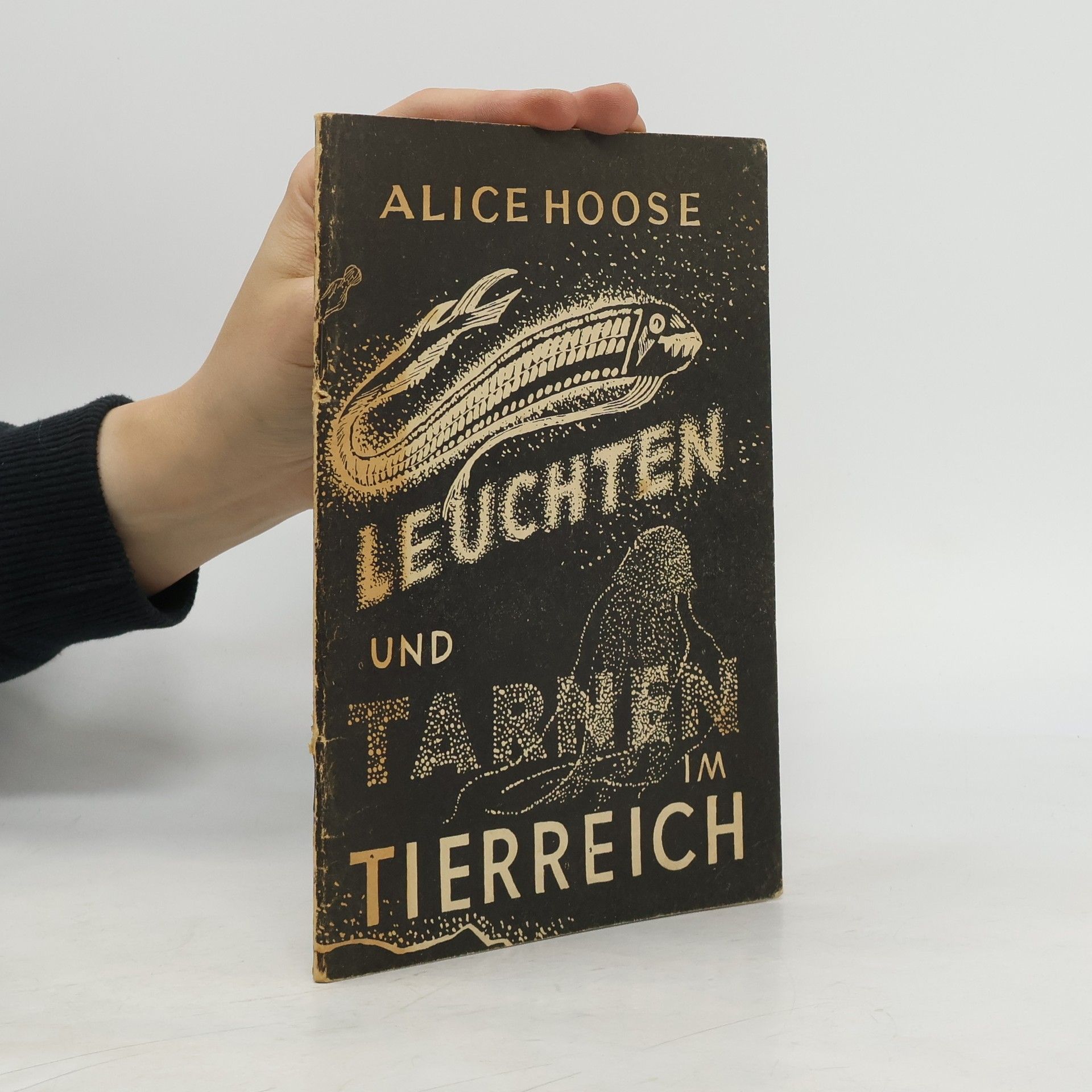 Alice Hoose Leuchten und Tarnen im Tierreich