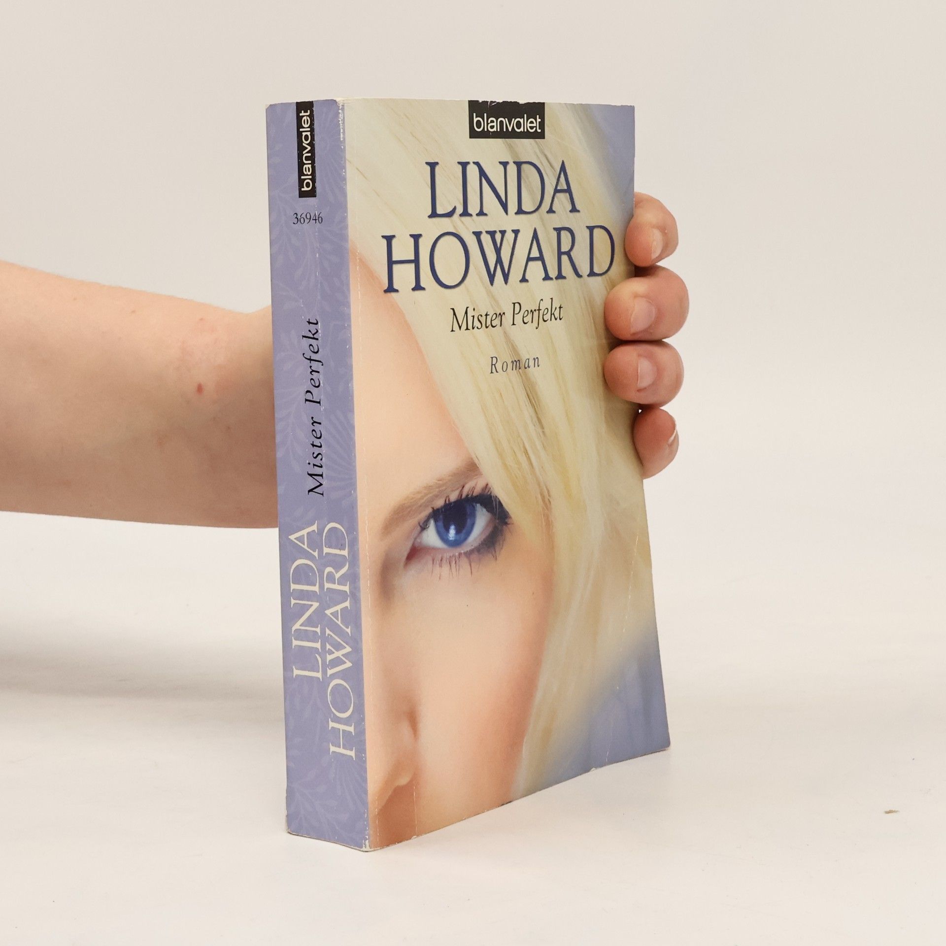 Linda Howard Mister Perfekt