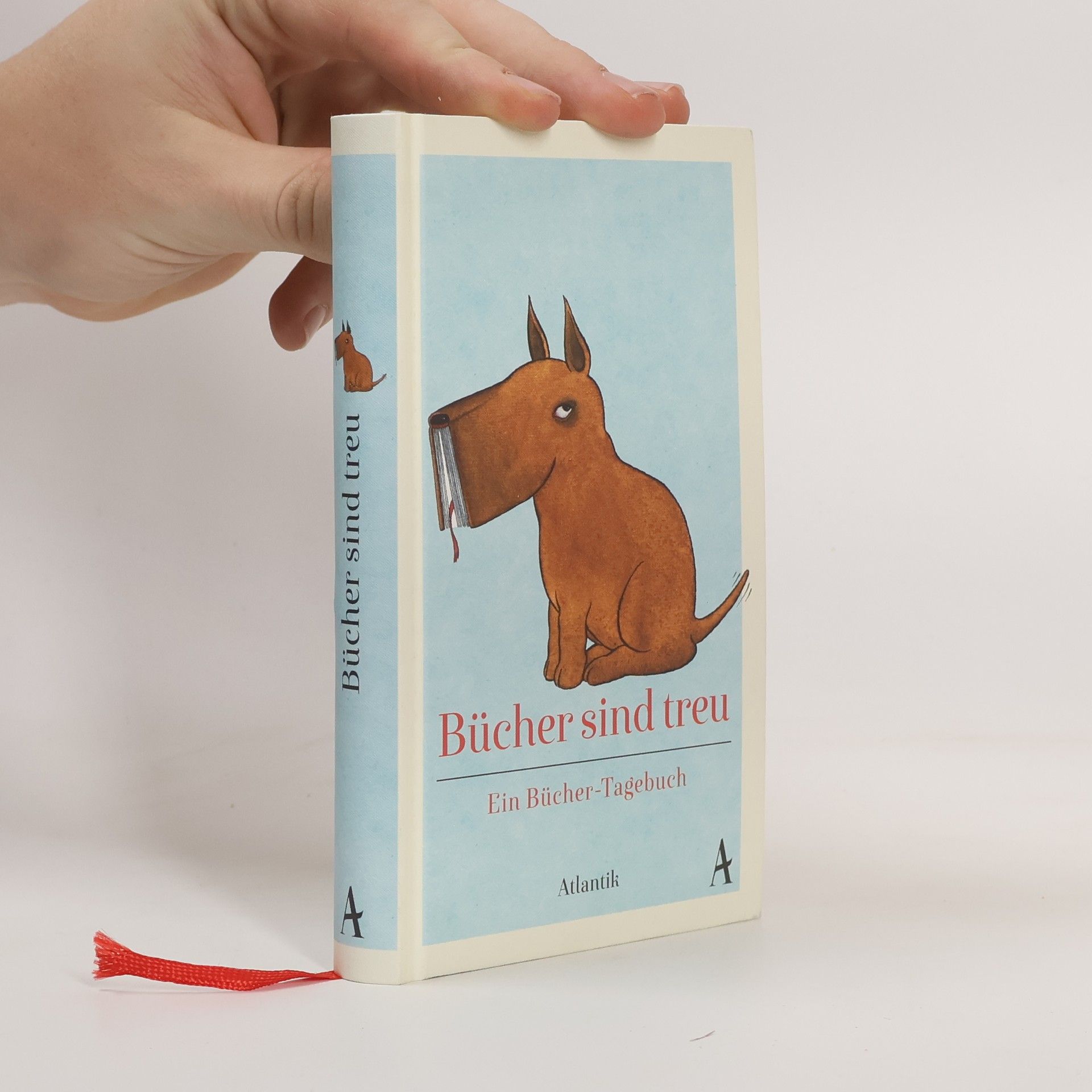 Daniel Kampa Bücher sind treu - Ein Bücher-Tagebuch