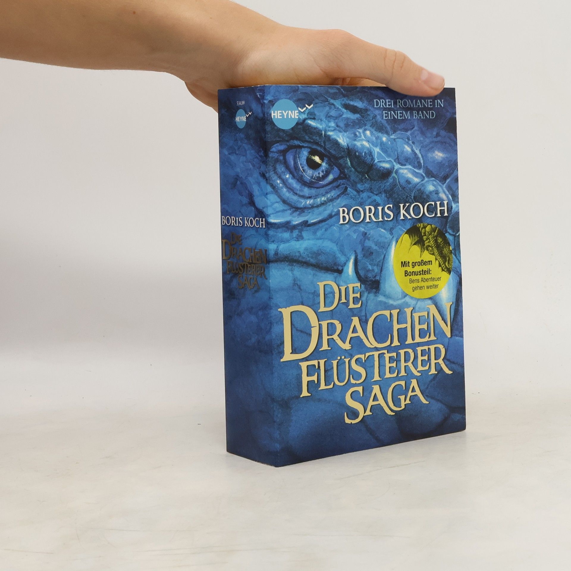 Boris Koch Die Drachenflüsterer-Saga