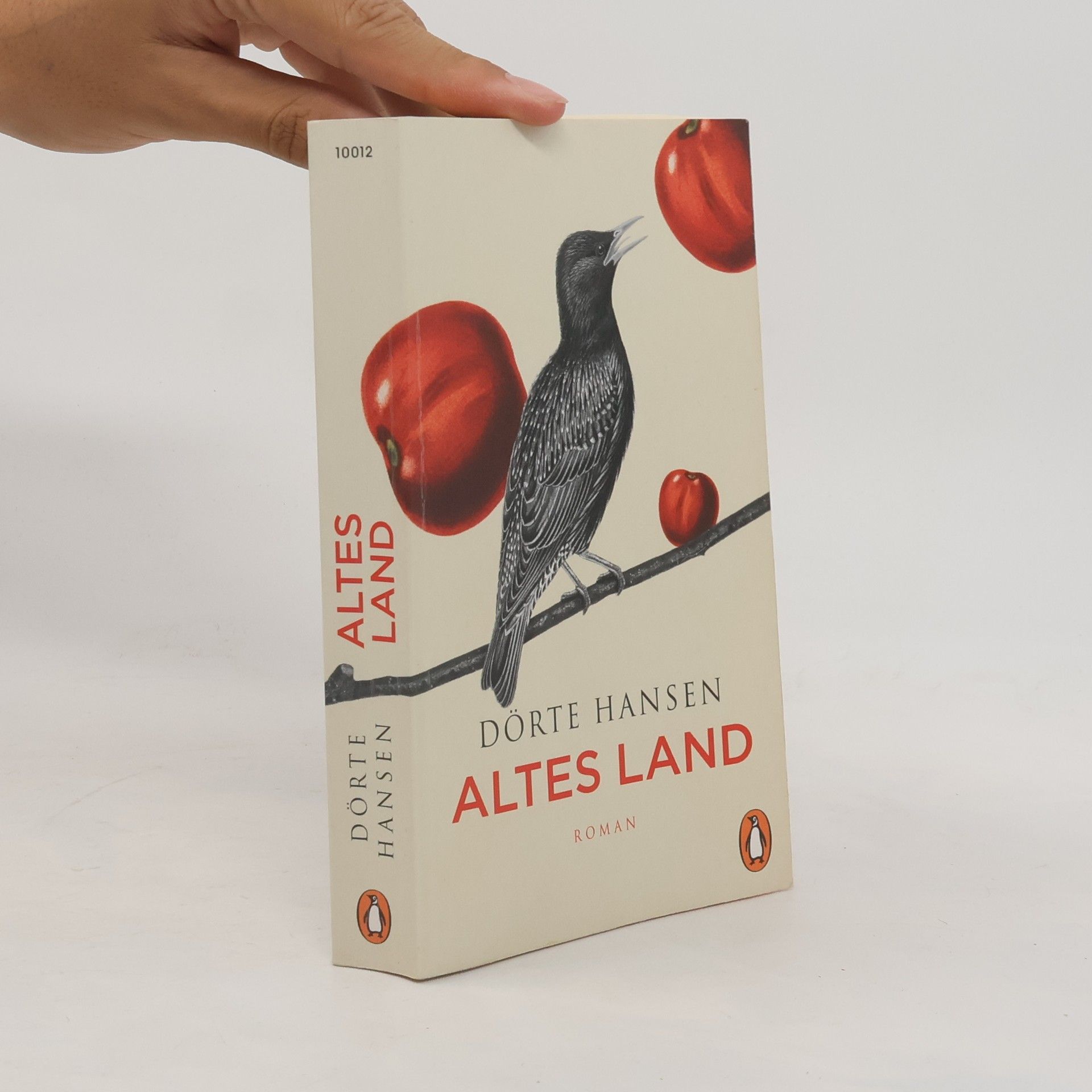 Dörte Hansen Altes Land