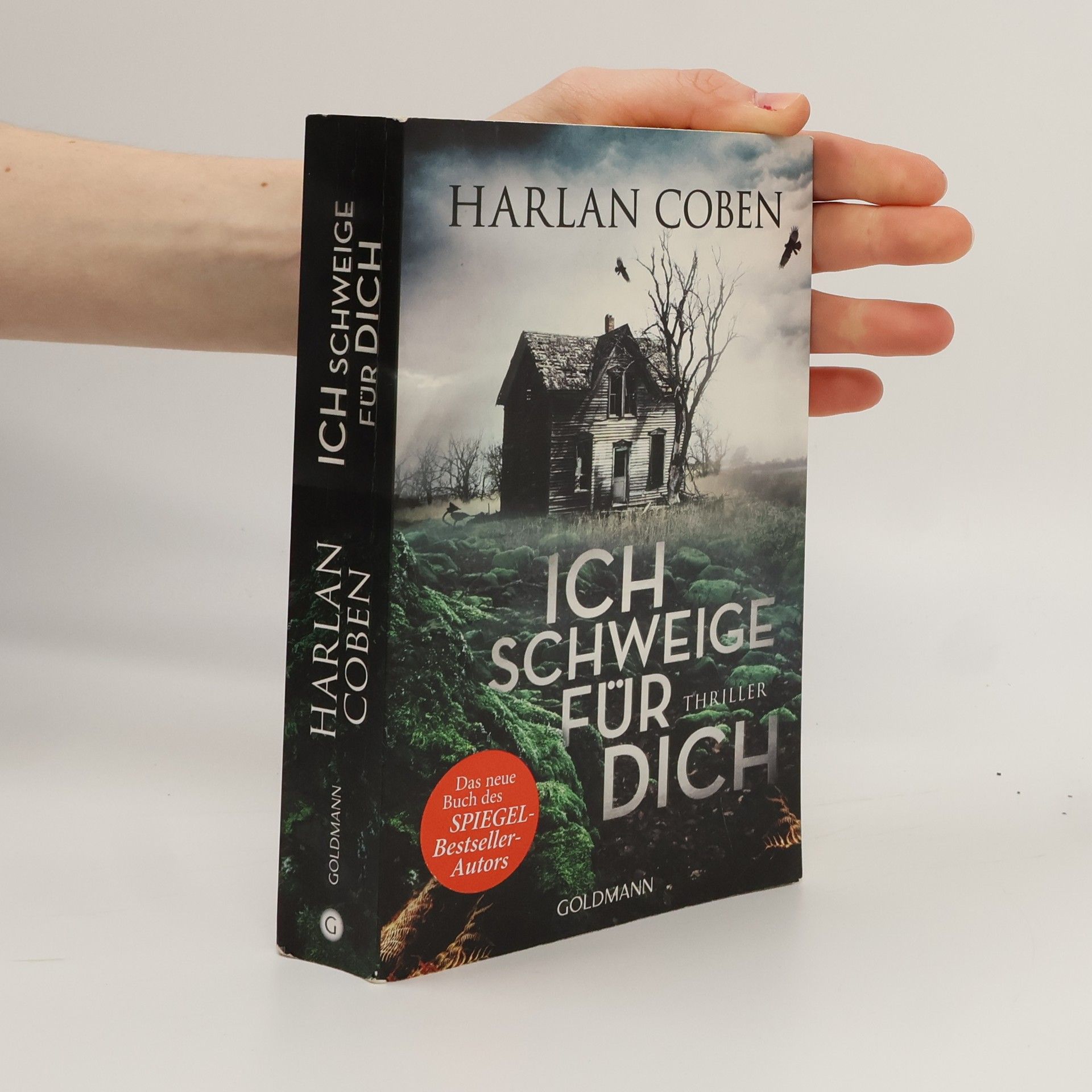 Harlan Coben Ich Schweige für dich