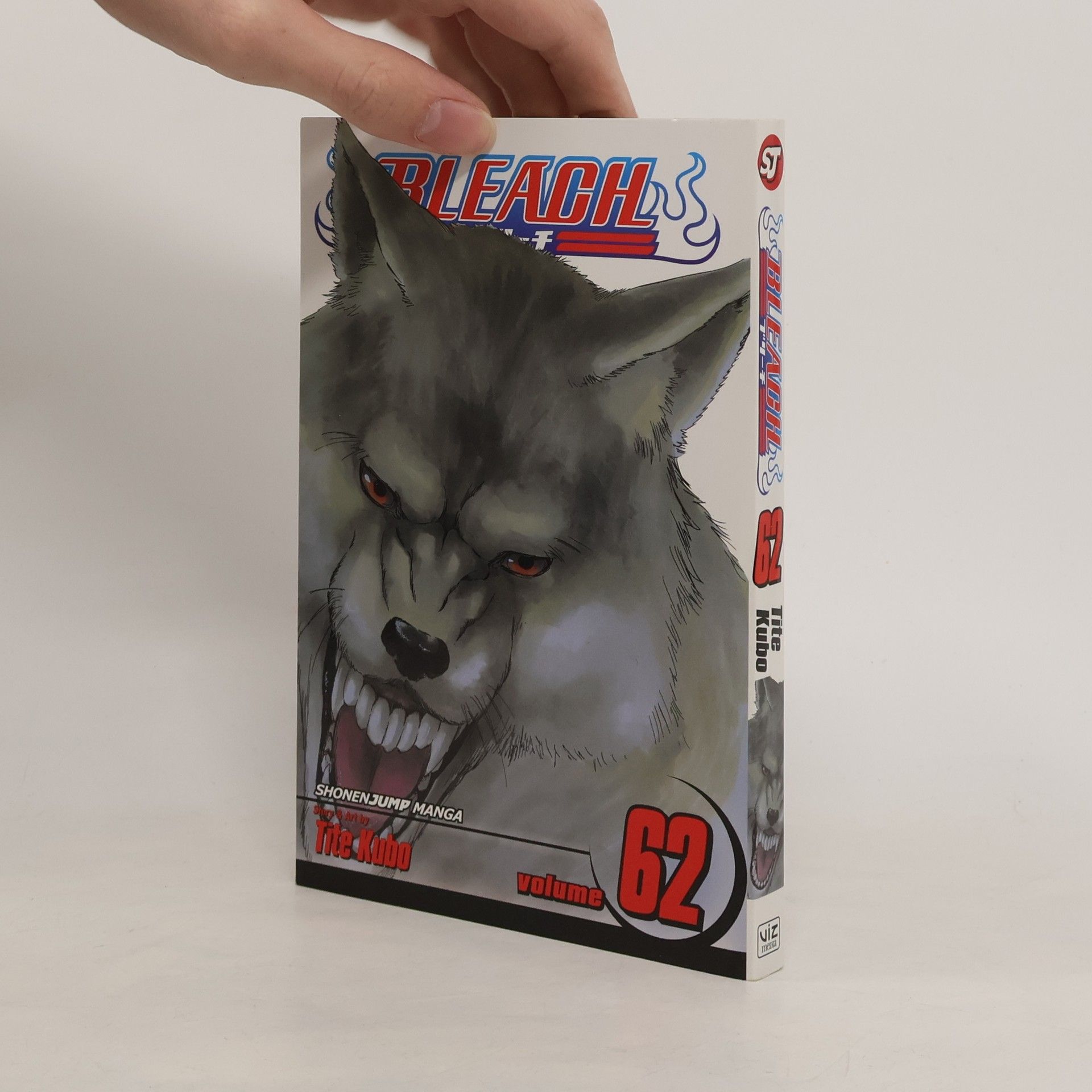Tite Kubo Bleach, Vol. 62