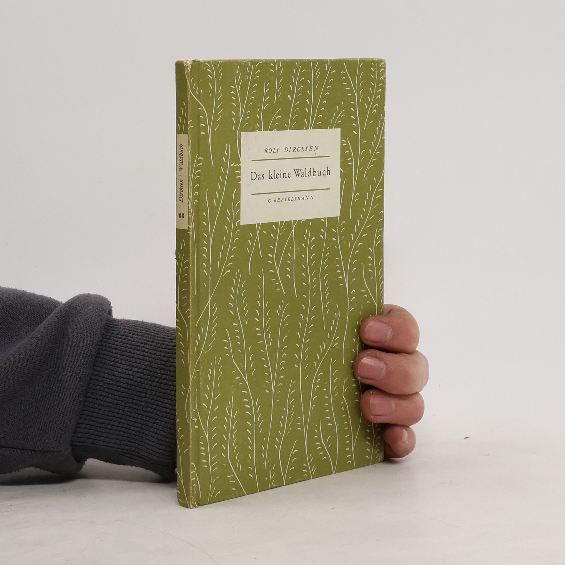 Rolf Dircksen Das kleine Waldbuch