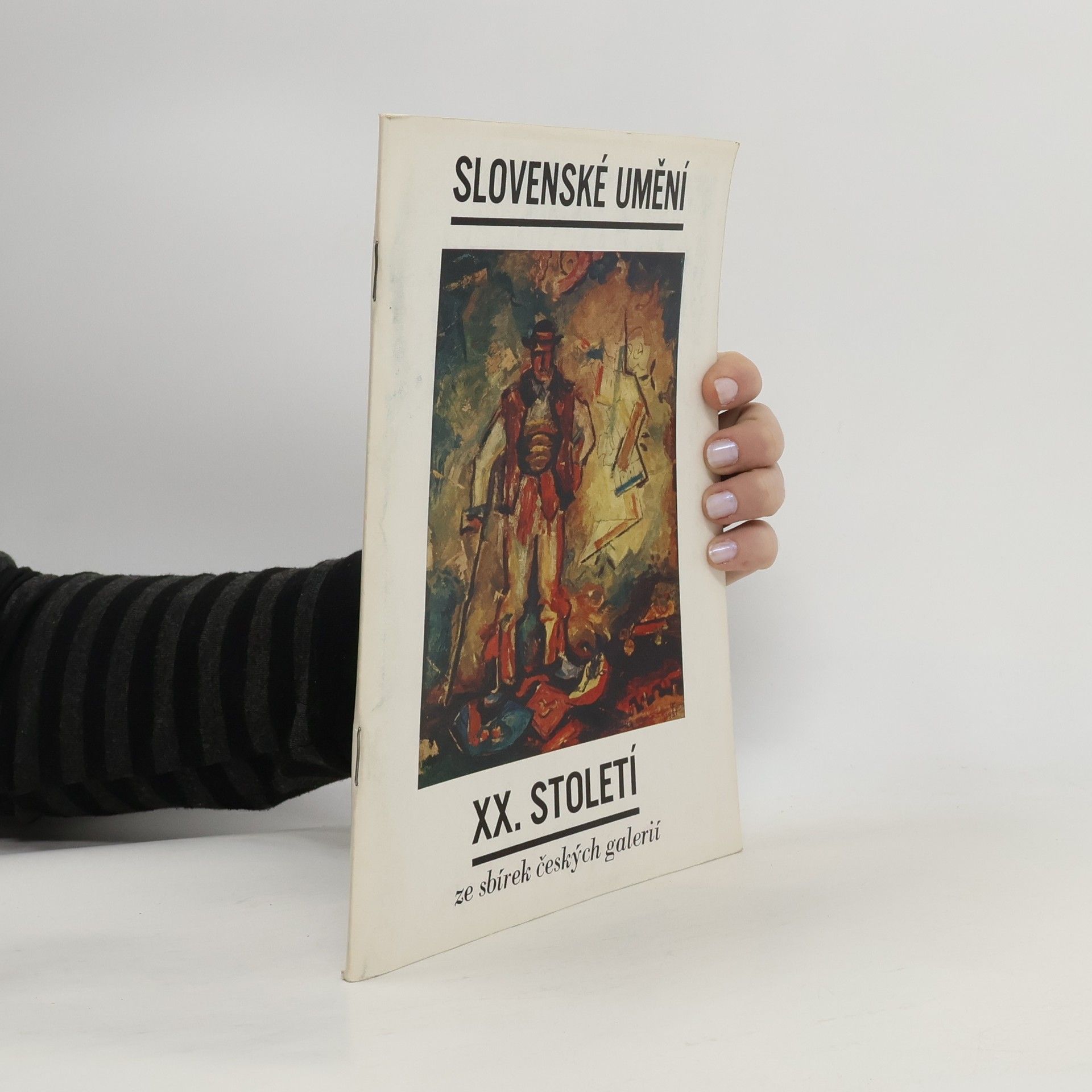 Collectif d'auteurs Slovenské umění XX. století ze sbírek českých galerií