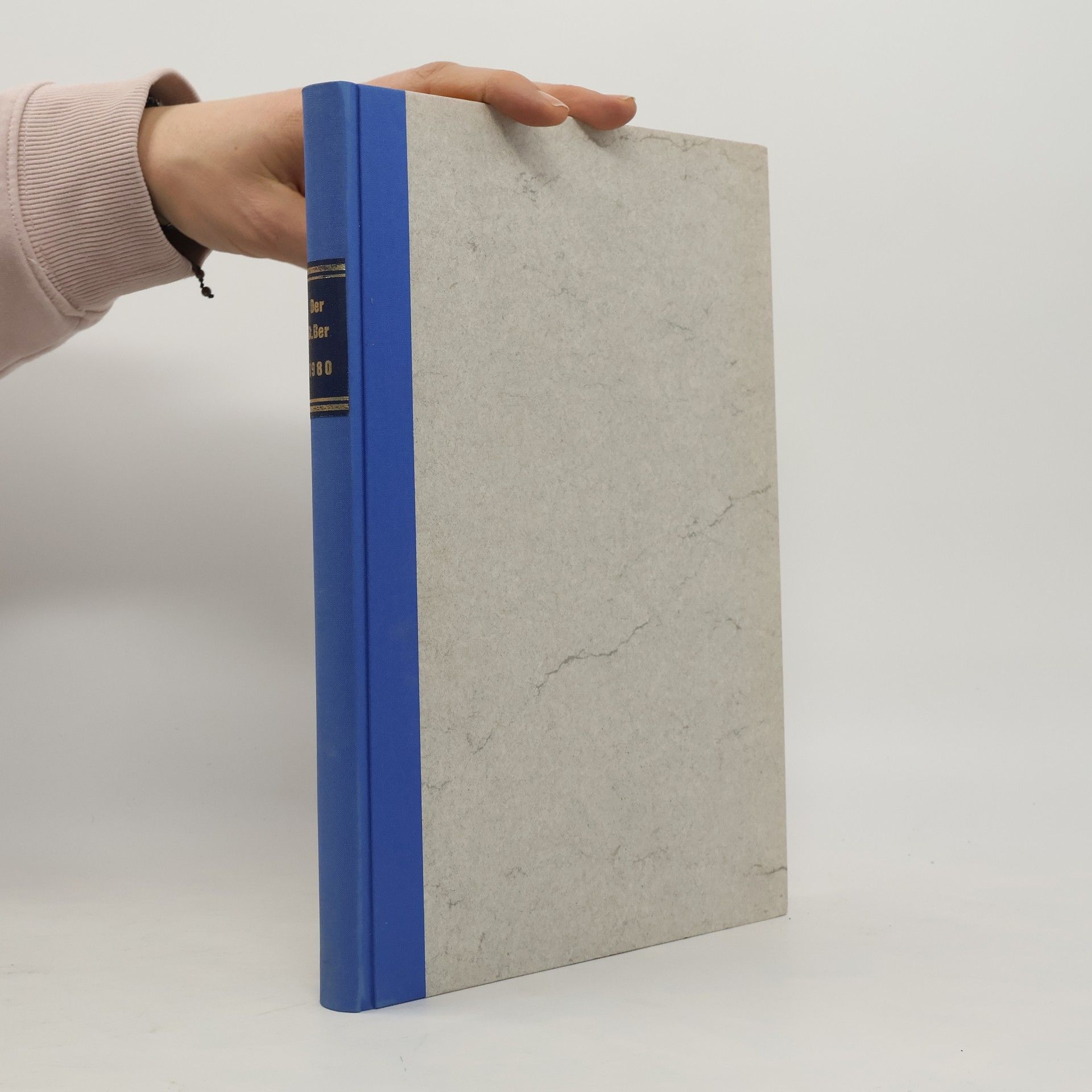 Autorenkollektiv Der Steuerberater: Zeitschrift für Beruf und Praxis