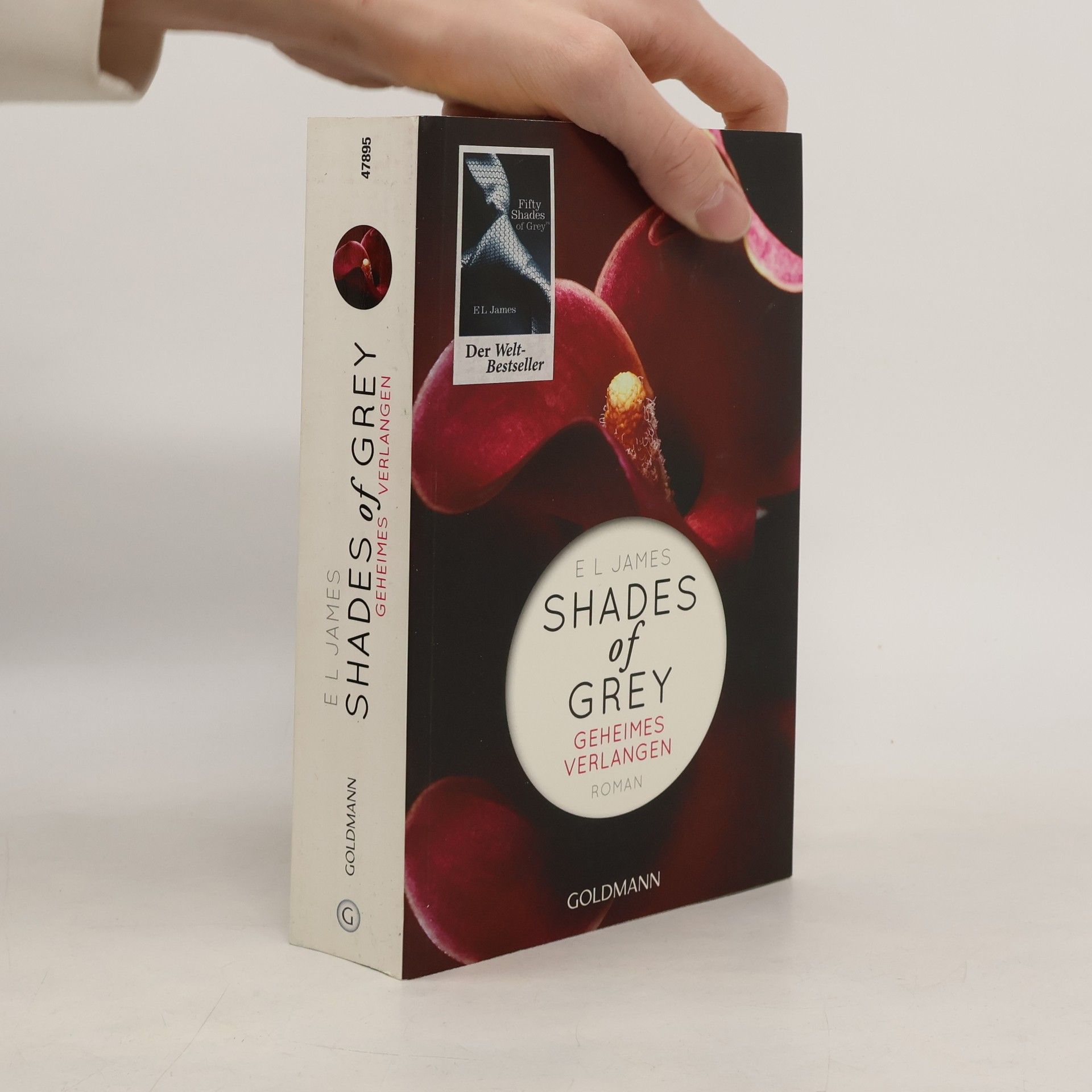 Shades of Grey. Geheimes Verlangen