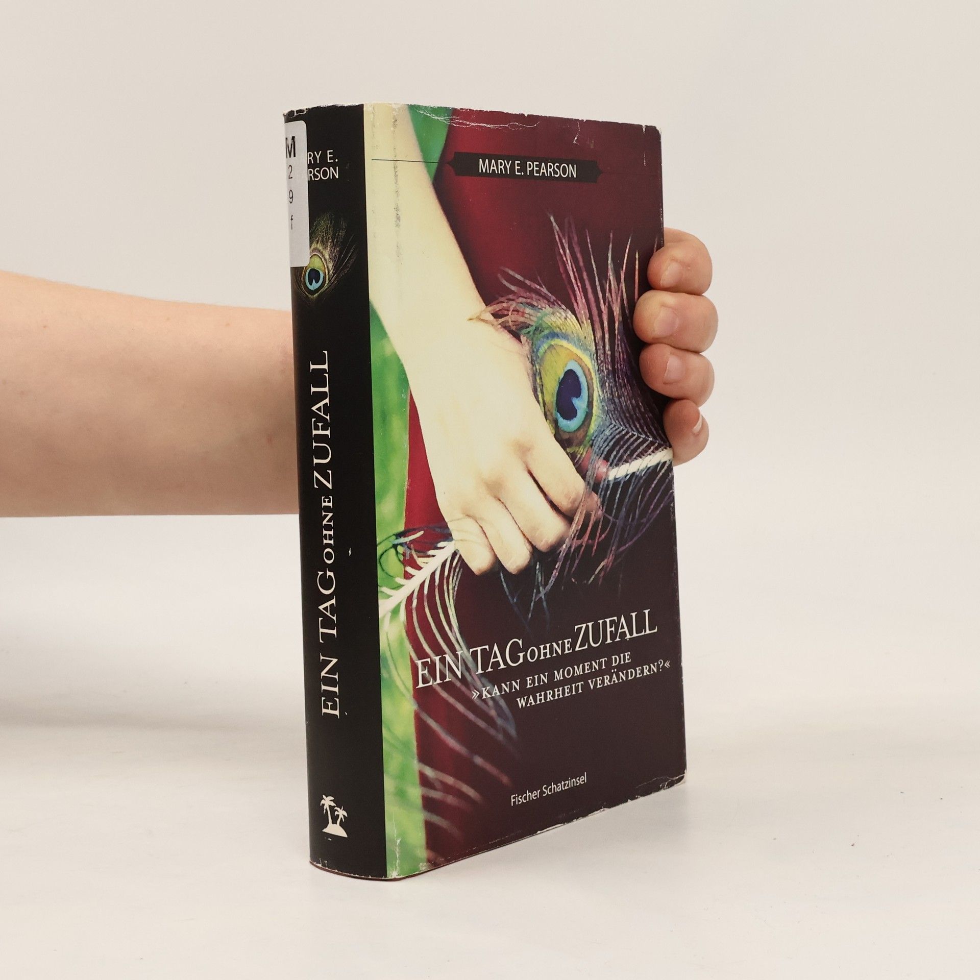 Mary E. Pearsonová Ein Tag ohne Zufall