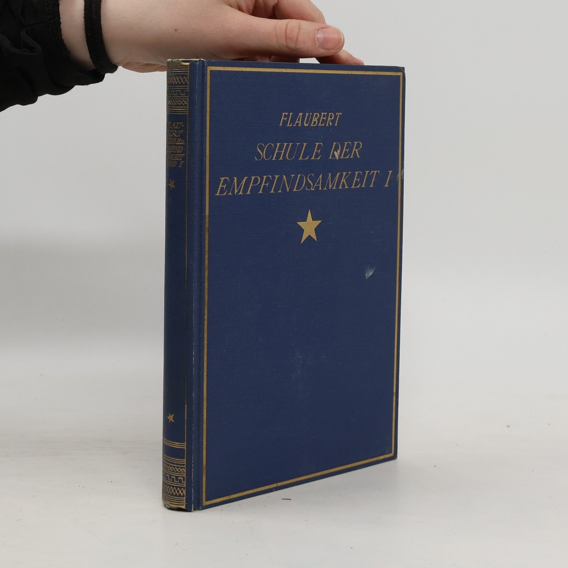 Gustave Flaubert Die Schule der Empfindsamkeit. Erster Band