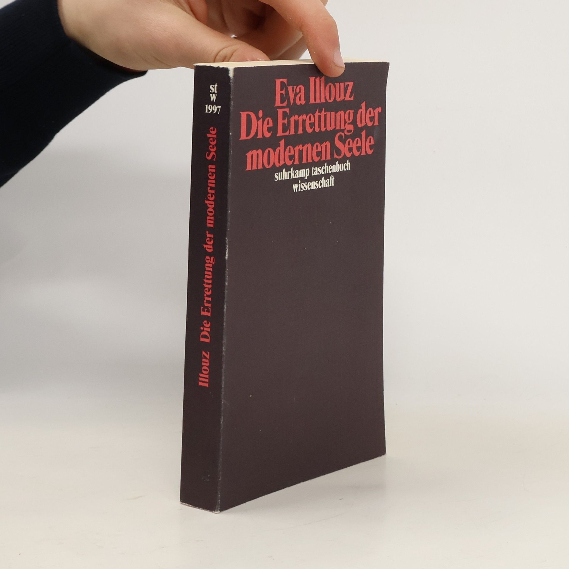 Die Errettung der modernen Seele