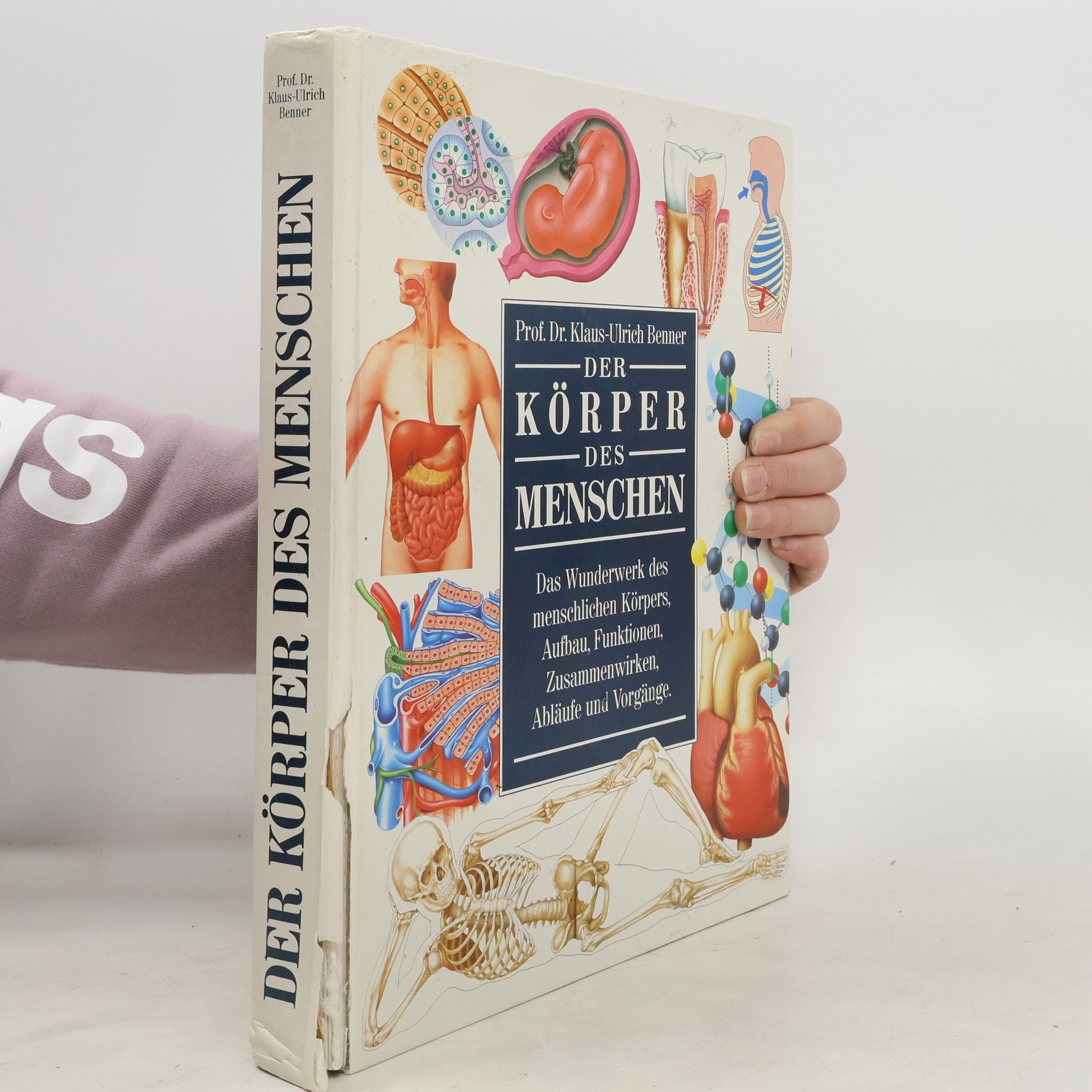 Klaus-Ulrich Wermann Der Körper des Menschen