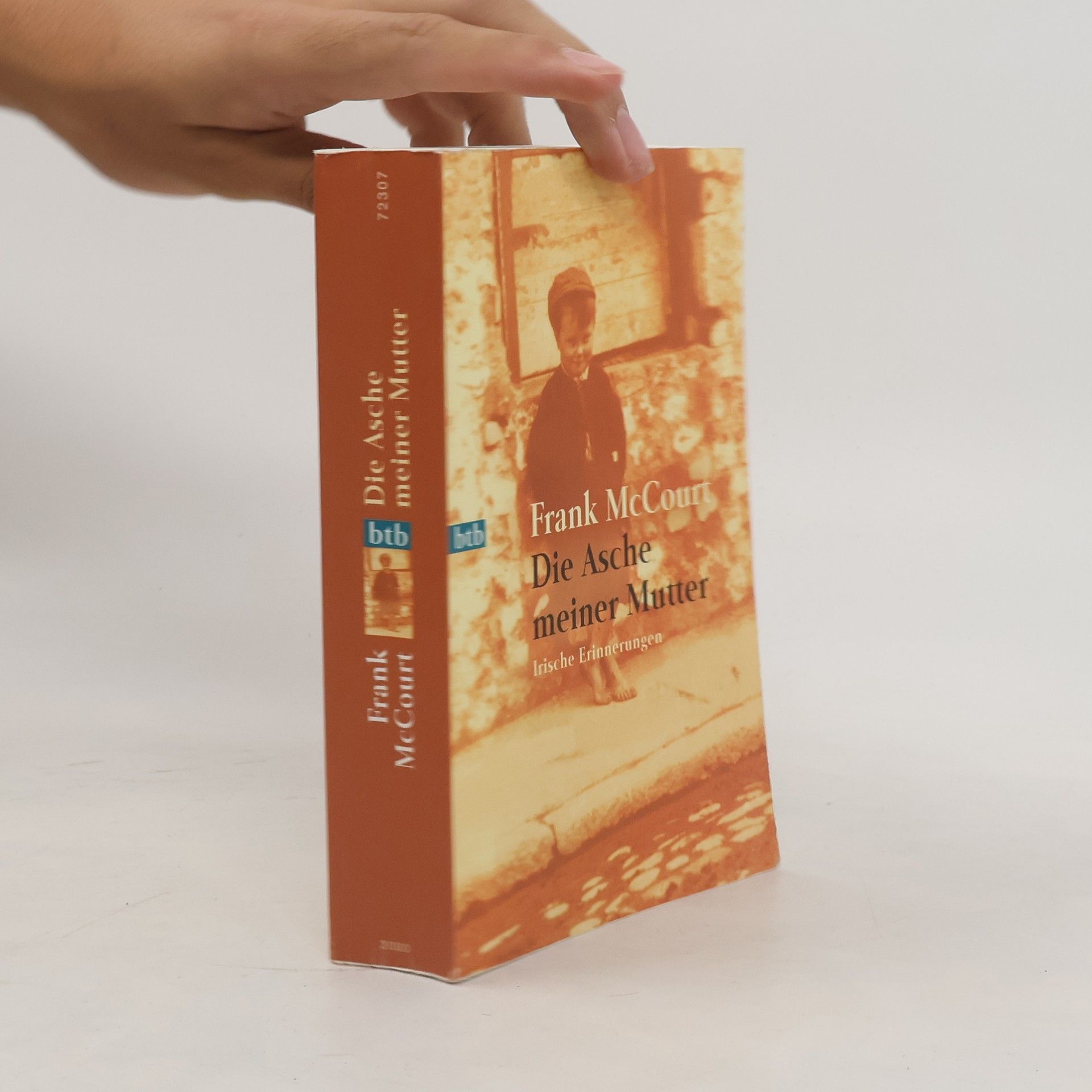 Frank McCourt Die Asche meiner Mutter