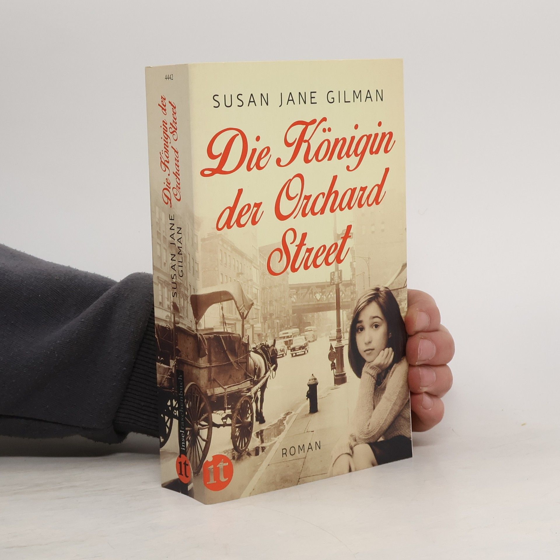 Susan Jane Gilman Die Königin der Orchard Street