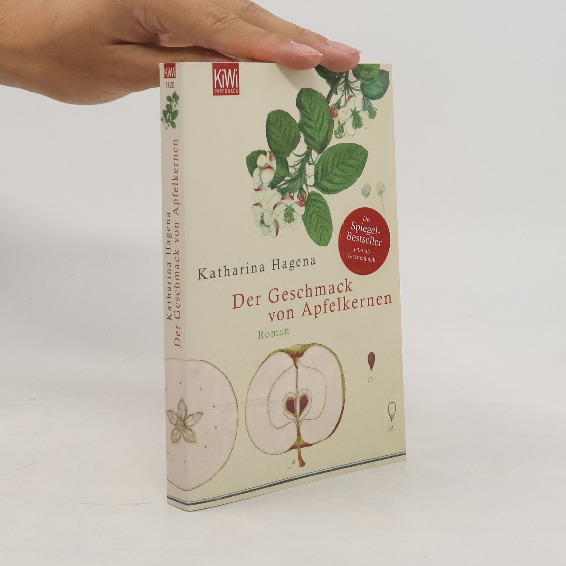 Katharina Hagena Der Geschmack von Apfelkernen