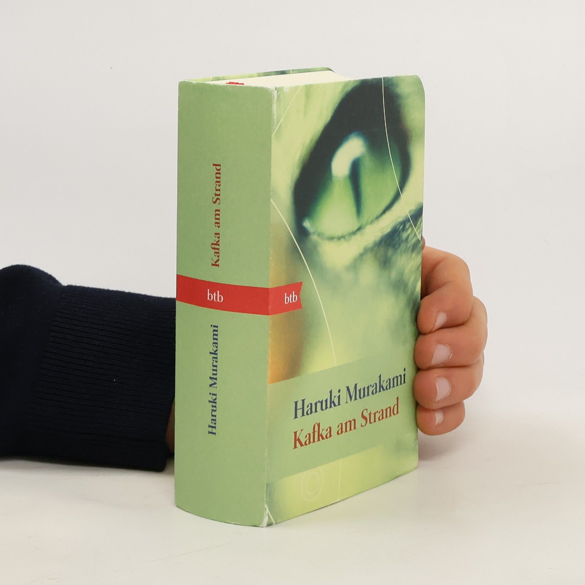 Haruki Murakami Kafka am Strand