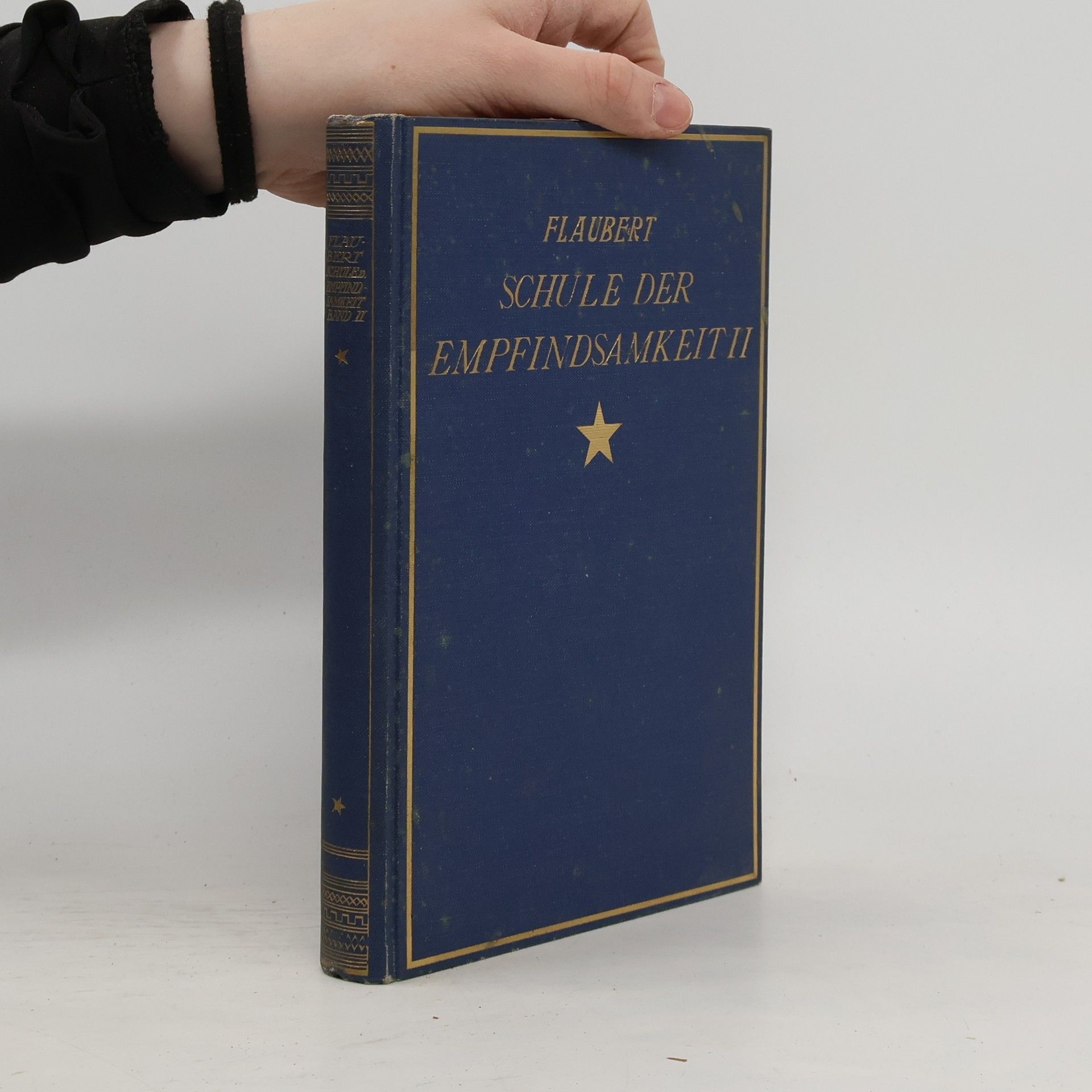 Gustave Flaubert Die Schule der Empfindsamkeit II