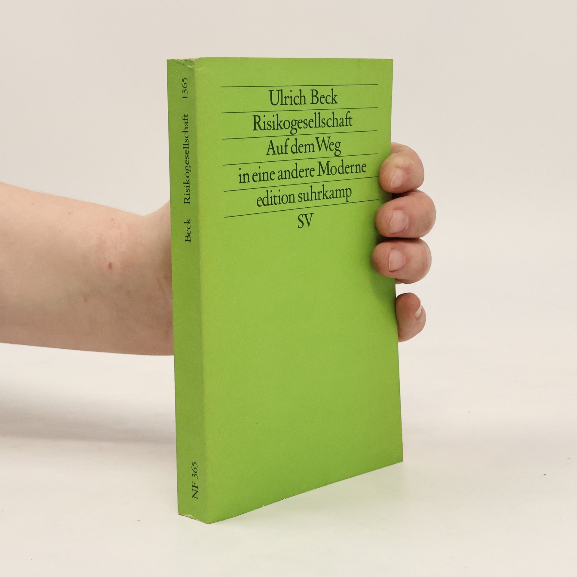 Ulrich Beck Risikogesellschaft