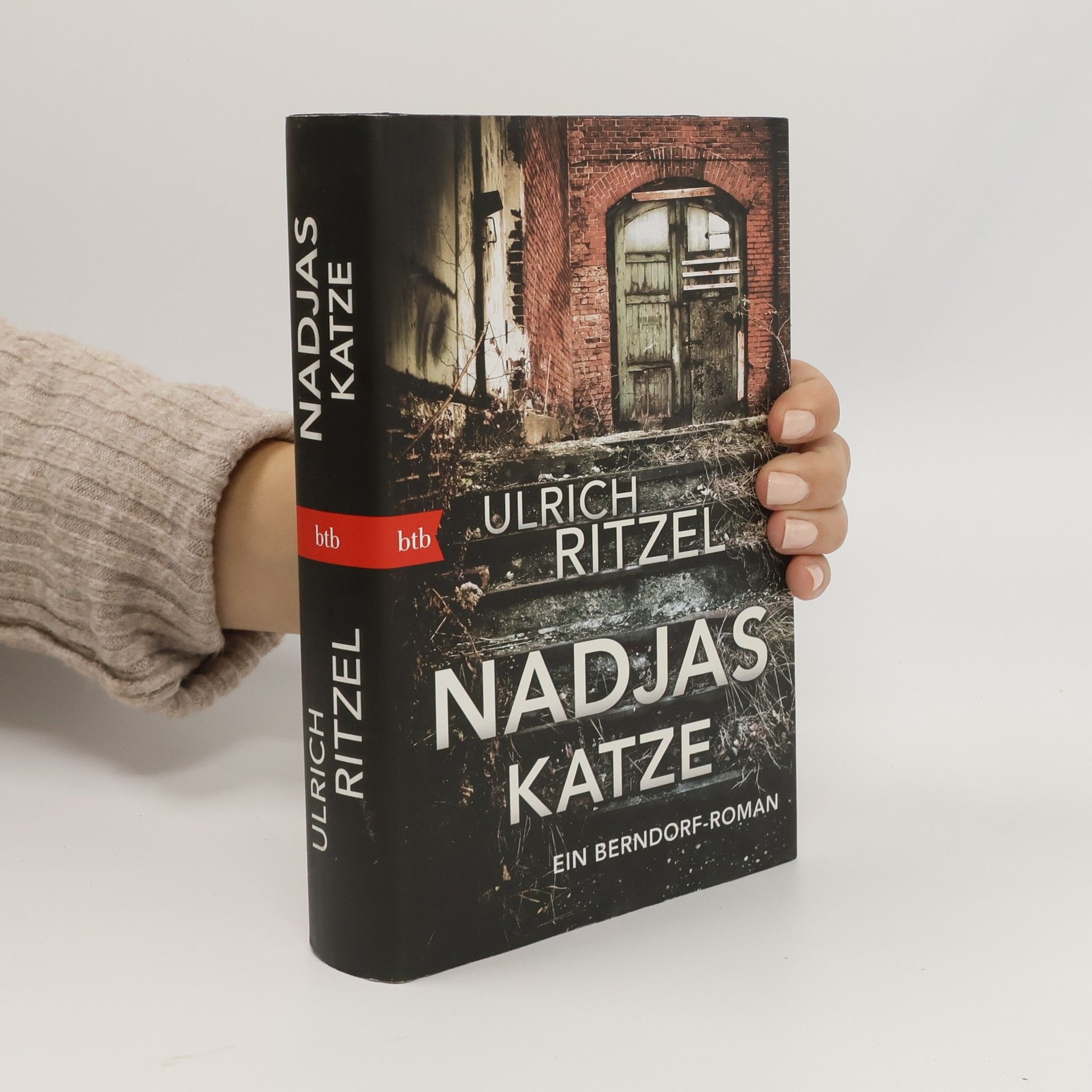 Ulrich Ritzel Nadjas Katze