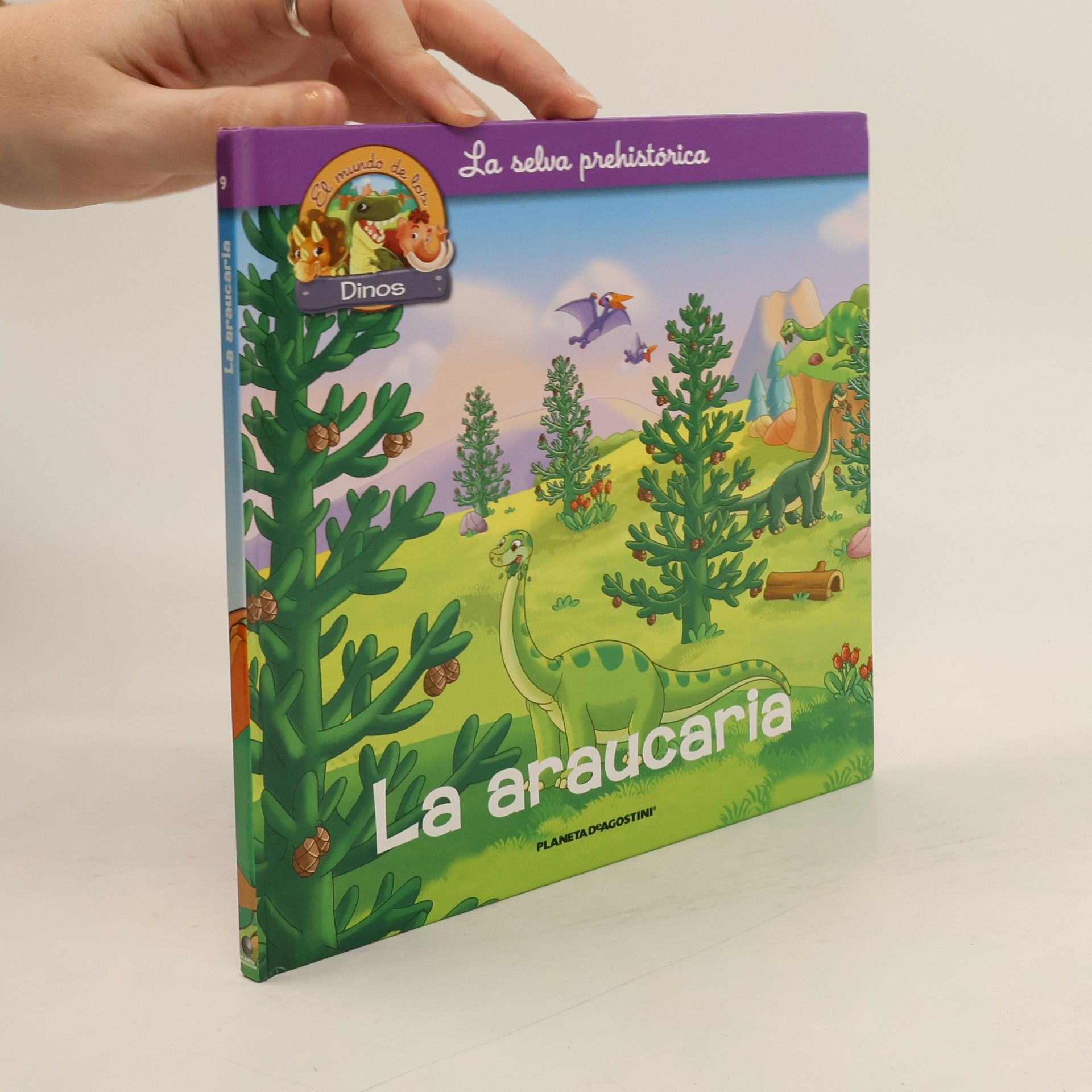 La araucaria