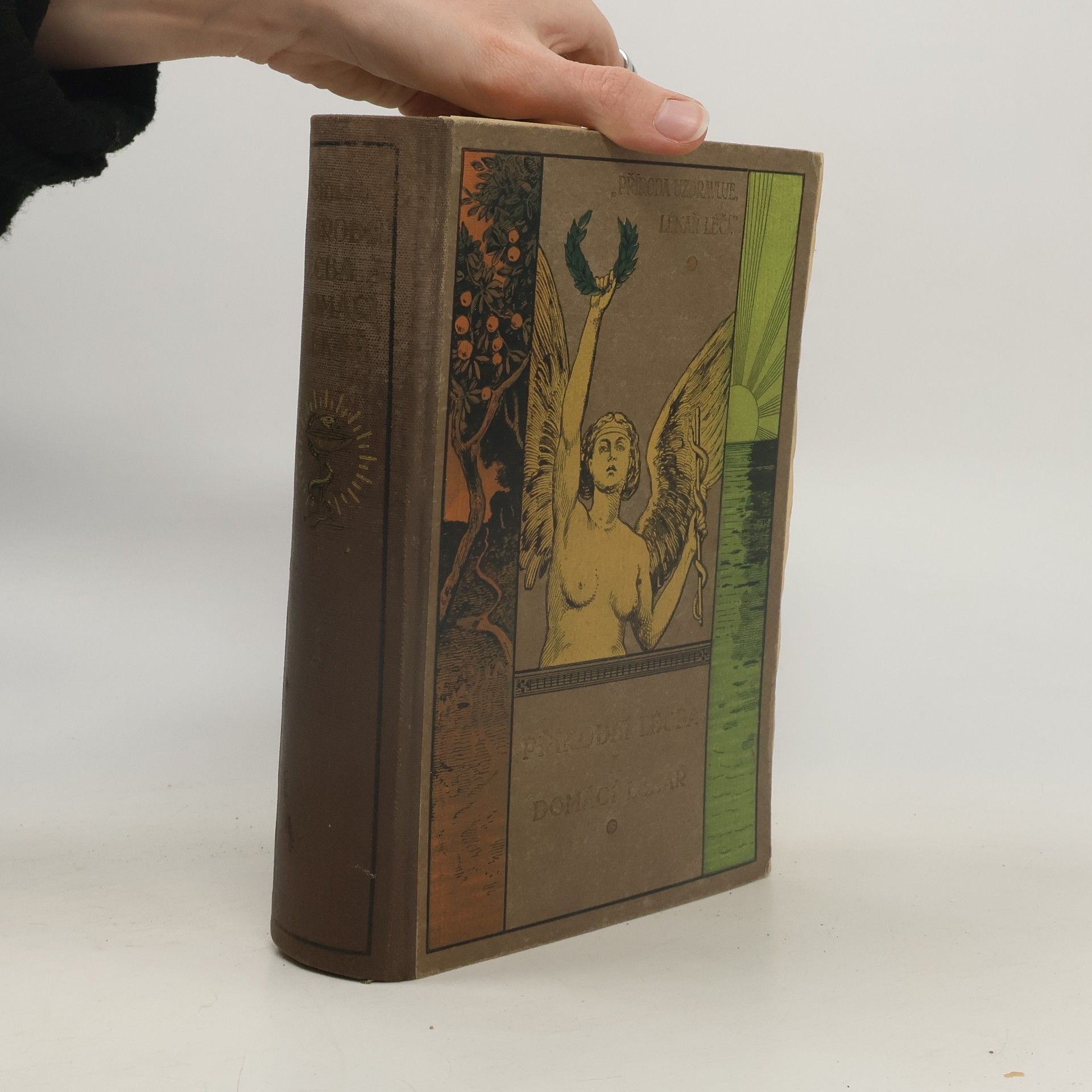 Autorenkollektiv Přírodní léčba a domácí lékař II.