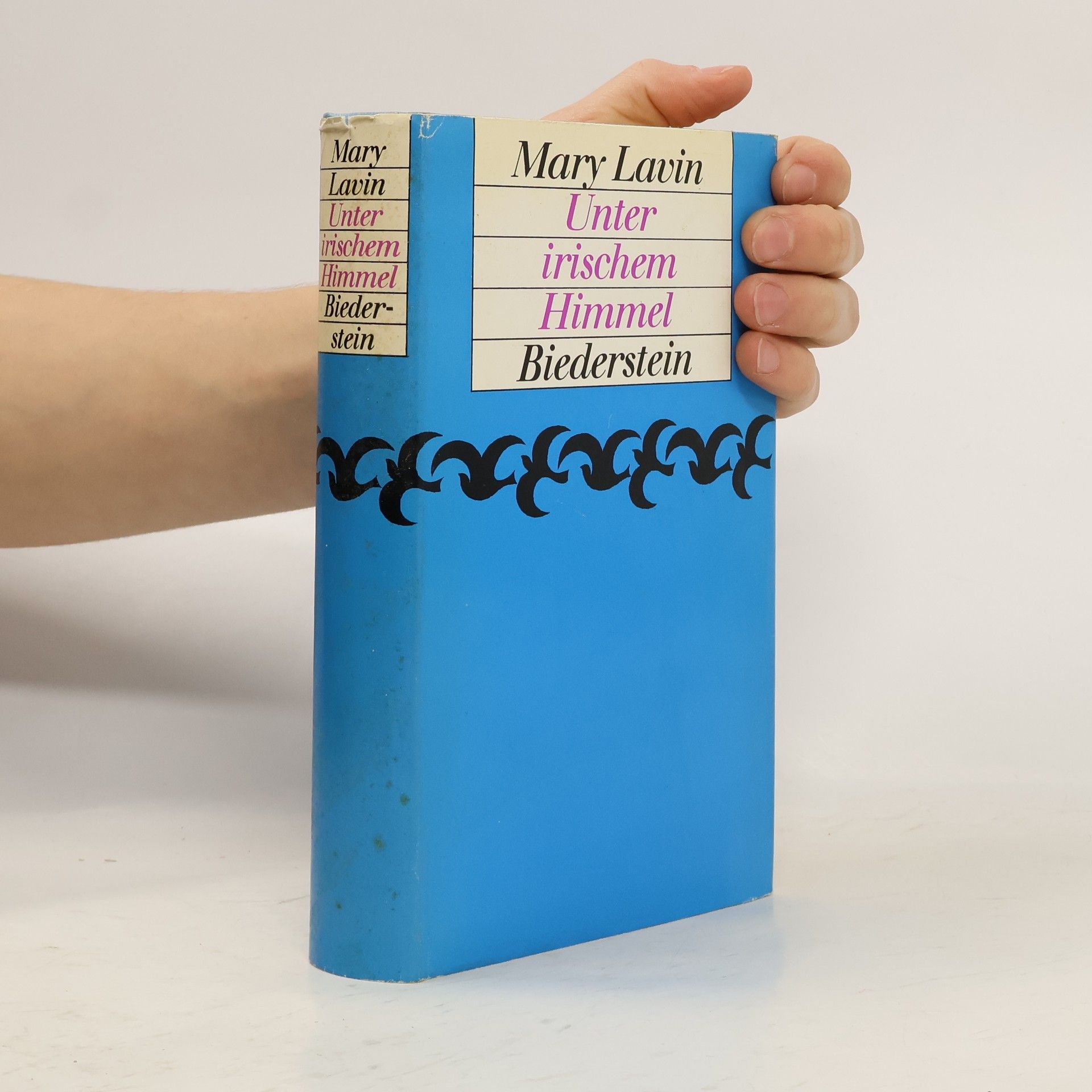 Unter irischem Himmel