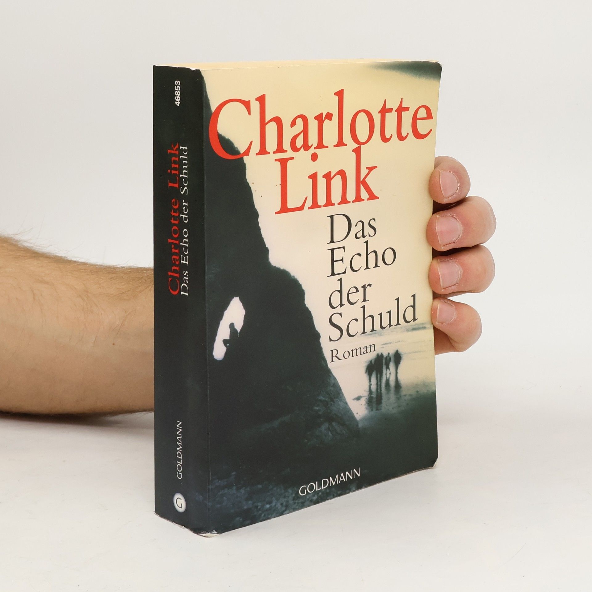 Charlotte Link Das Echo der Schuld