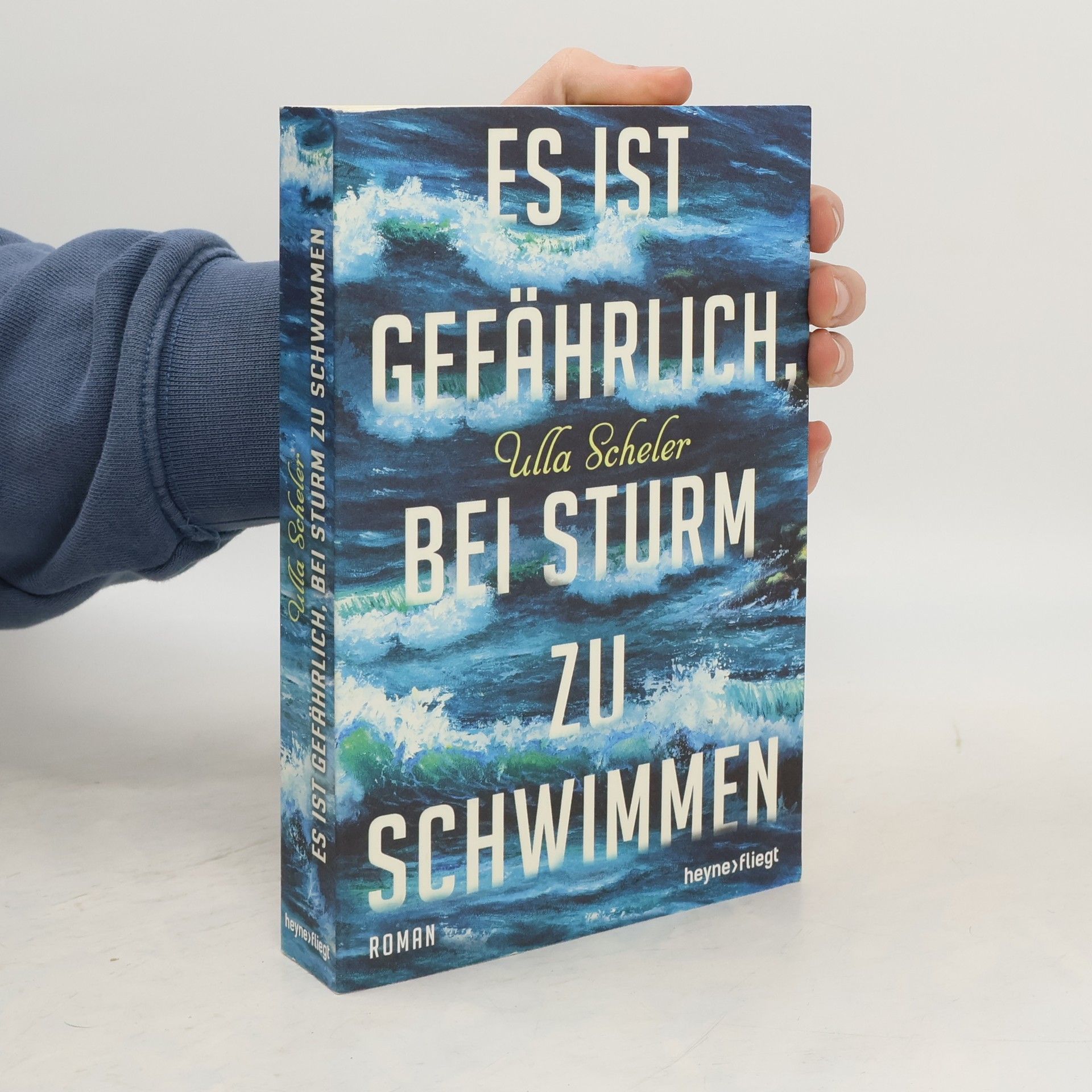 Ulla Scheler Es ist gefährlich, bei Sturm zu schwimmen