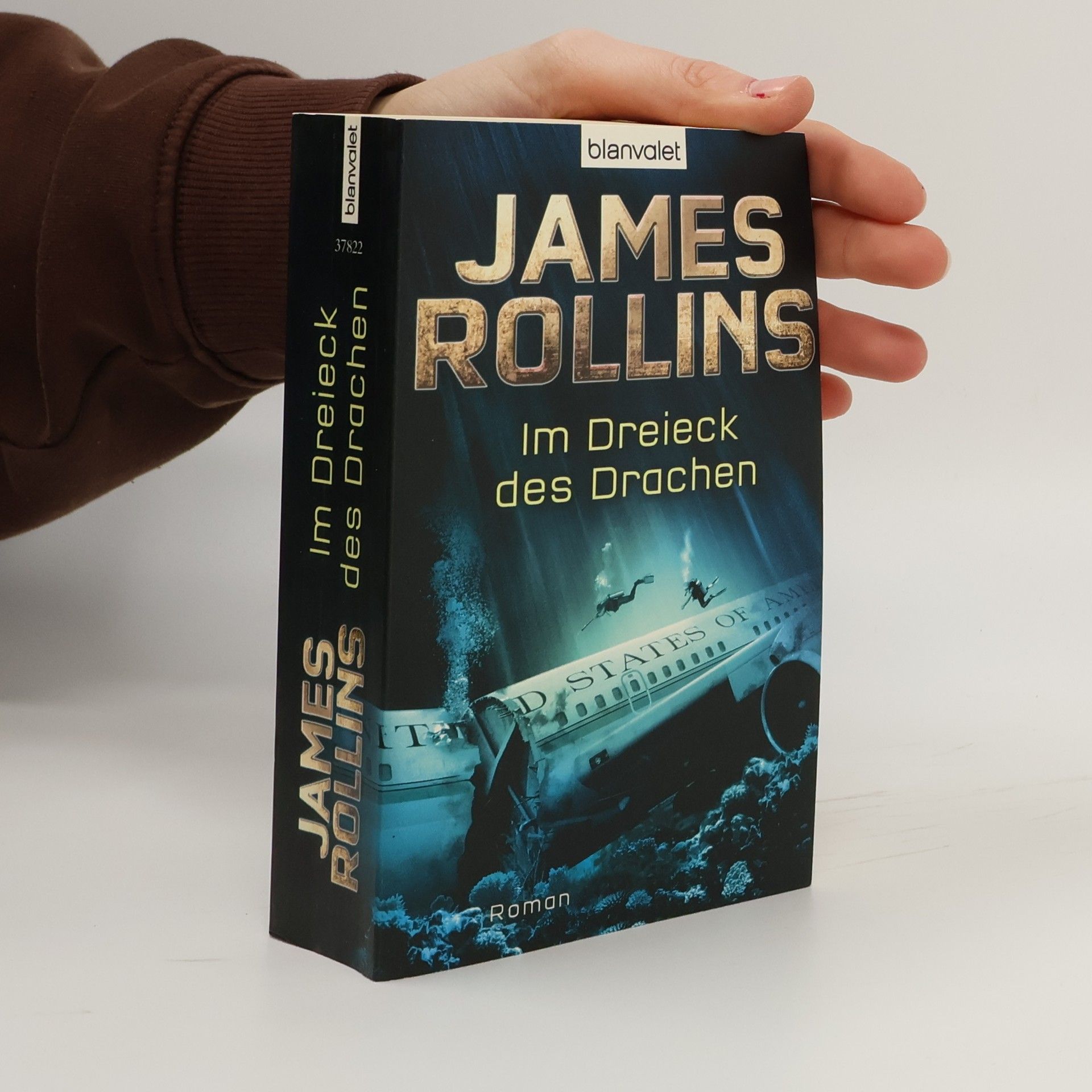 James Rollins Im Dreieck des Drachen