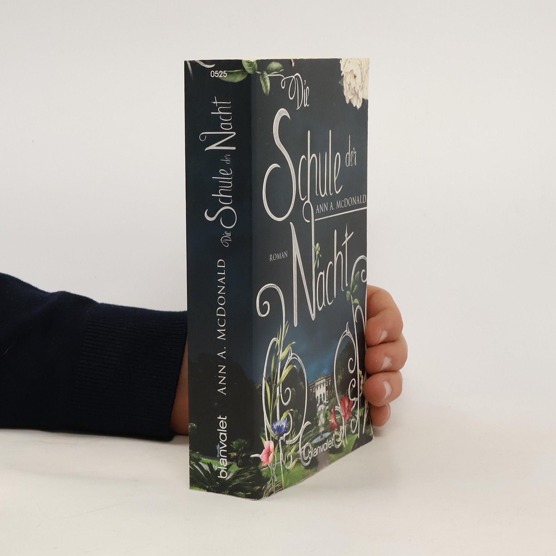 Ann A. McDonald Die Schule der Nacht