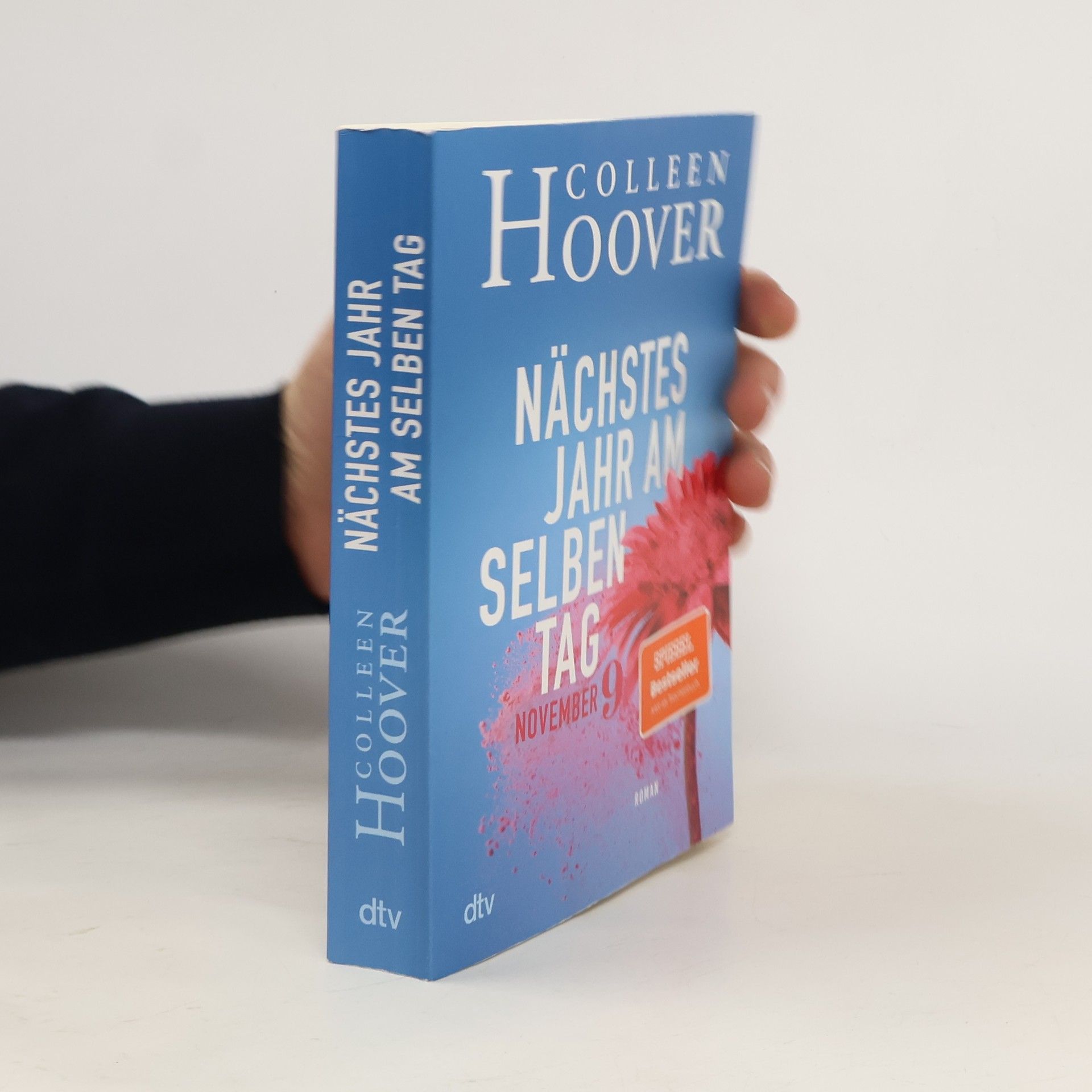 Colleen Hoover Nächstes Jahr am selben Tag