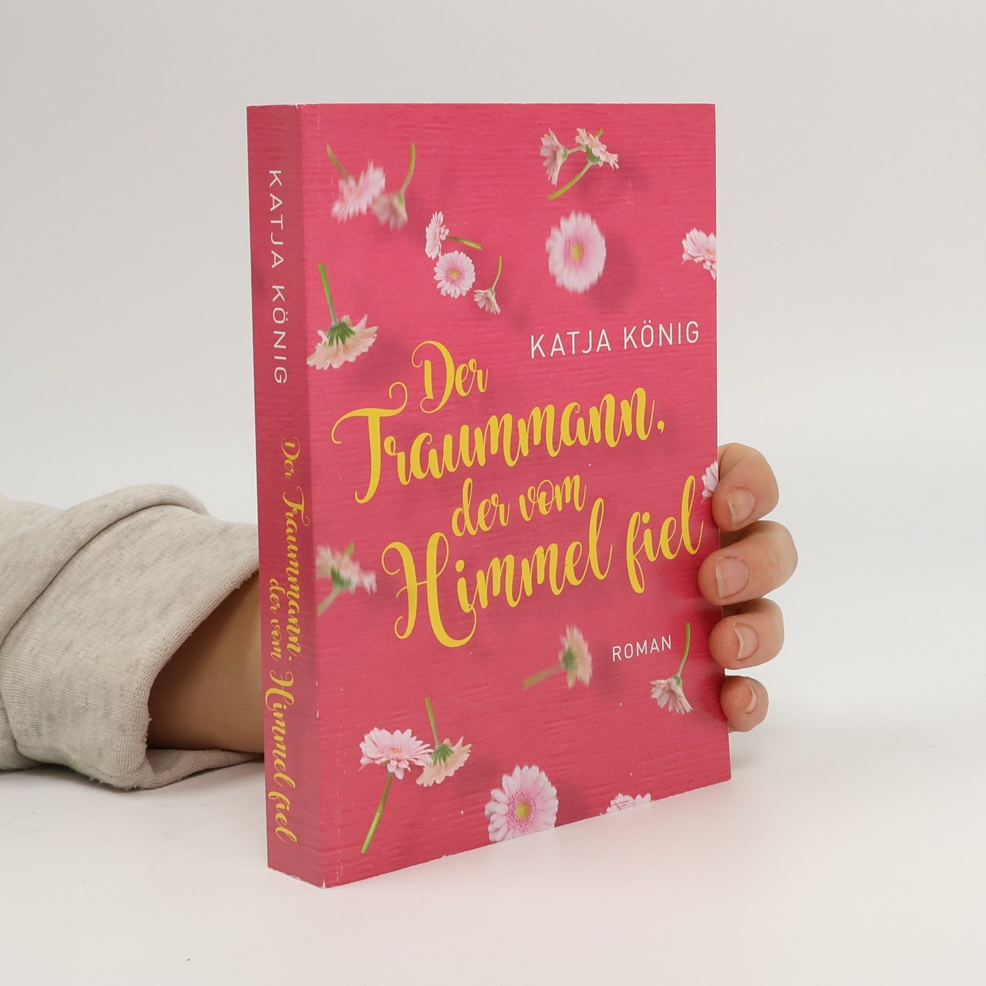 Der Traummann, der vom Himmel fiel