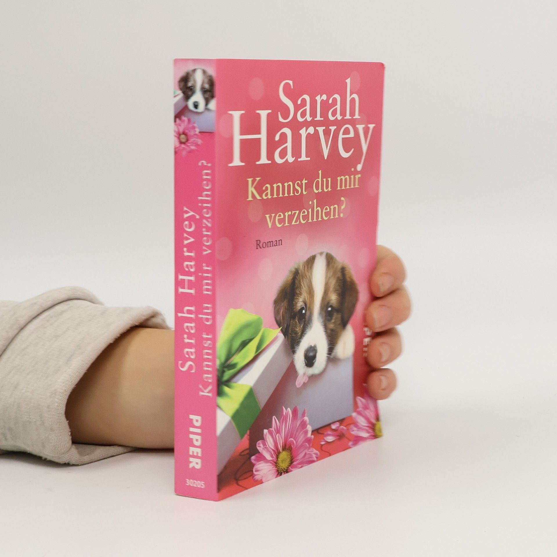 Sarah Harvey Kannst du mir verzeihen?