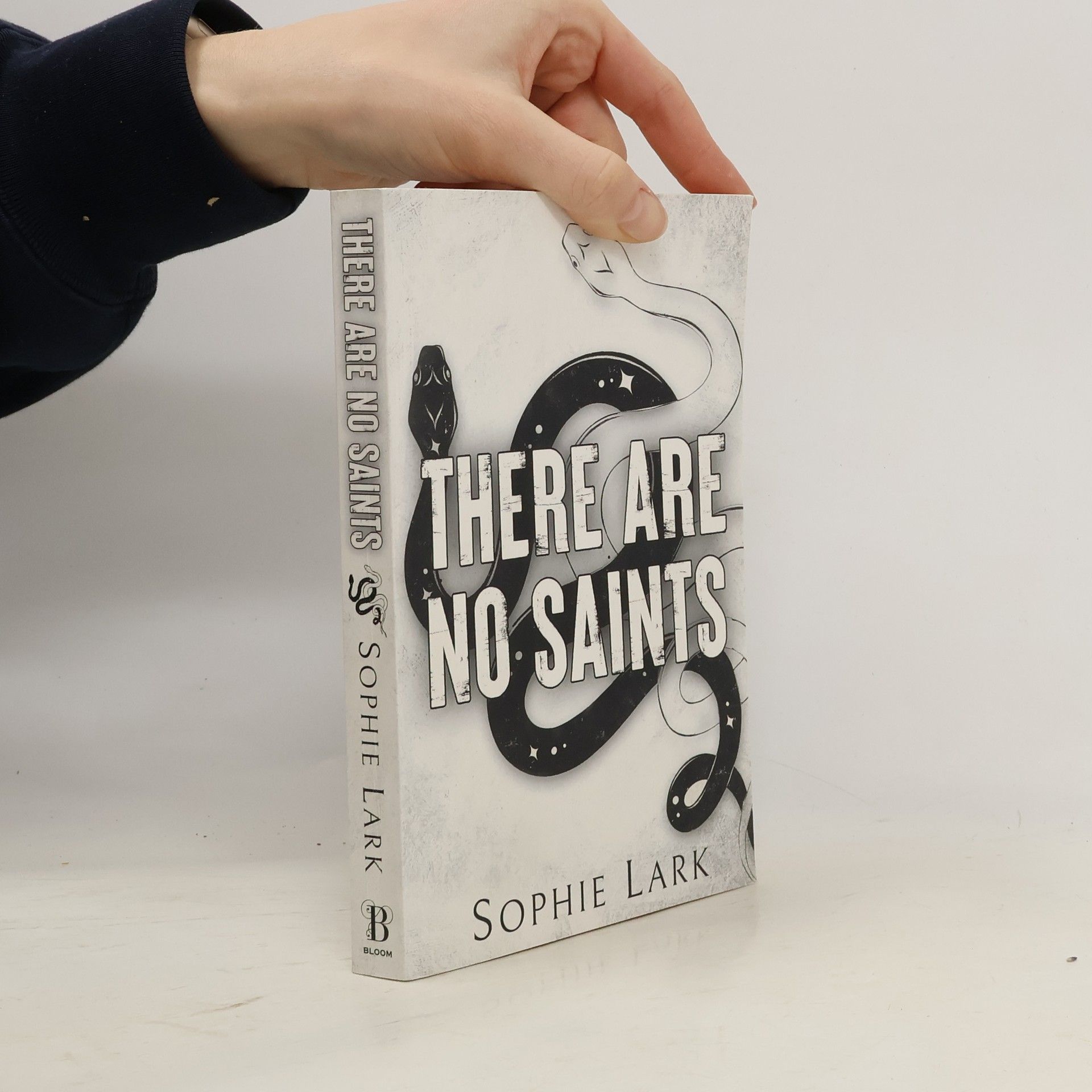 Sophie Lark There Are No Saints