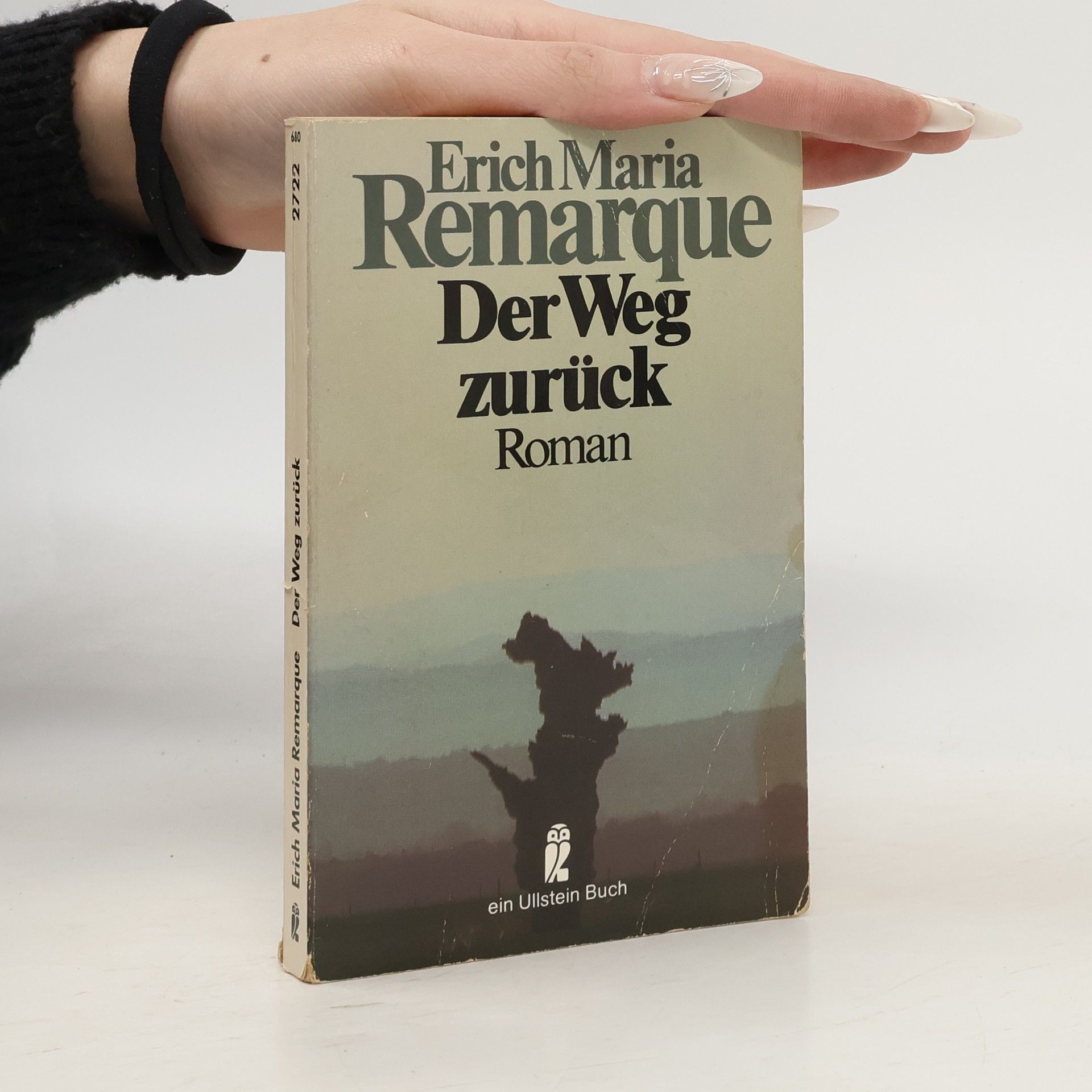 Erich Maria Remarque Der Weg zurück