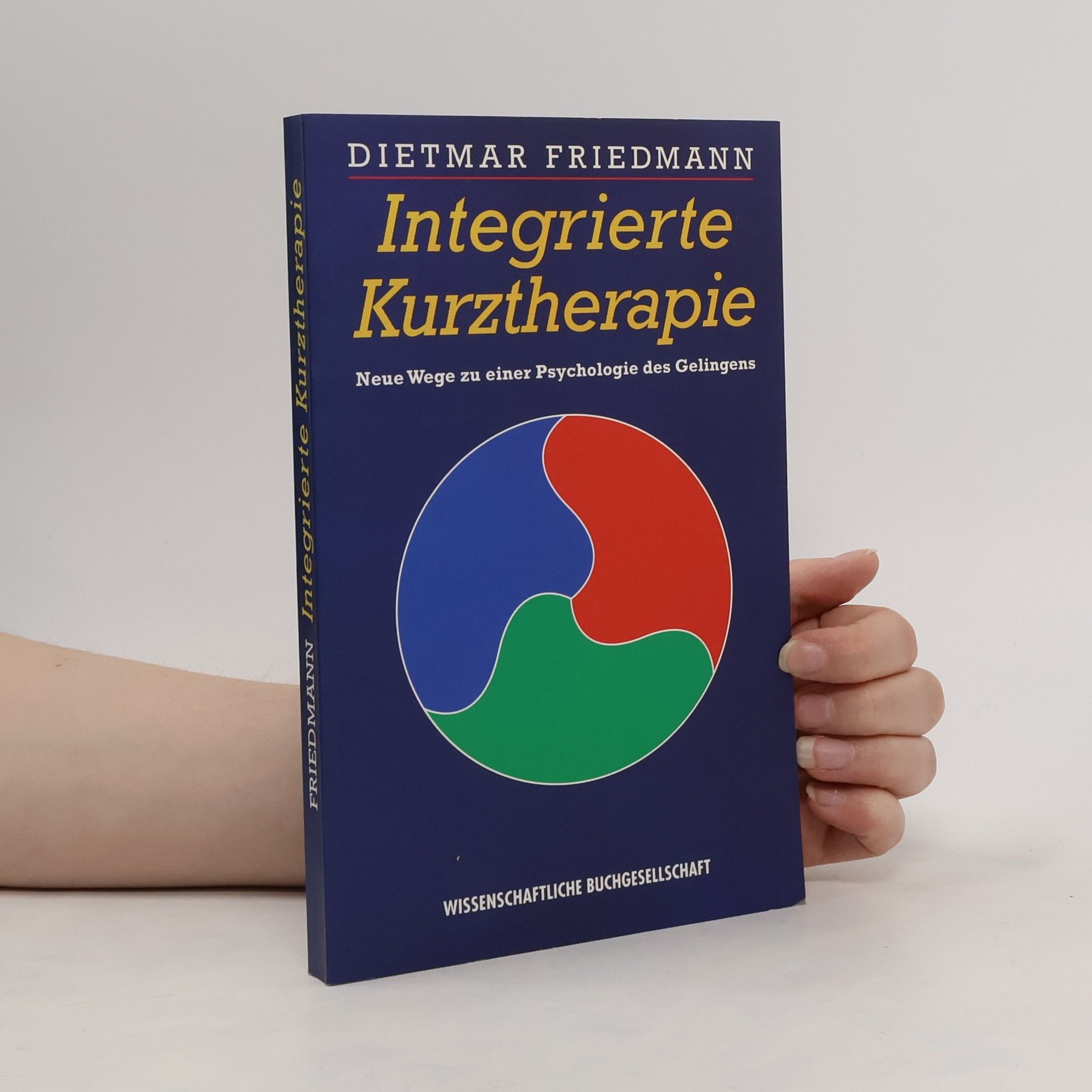 Integrierte Kurztherapie