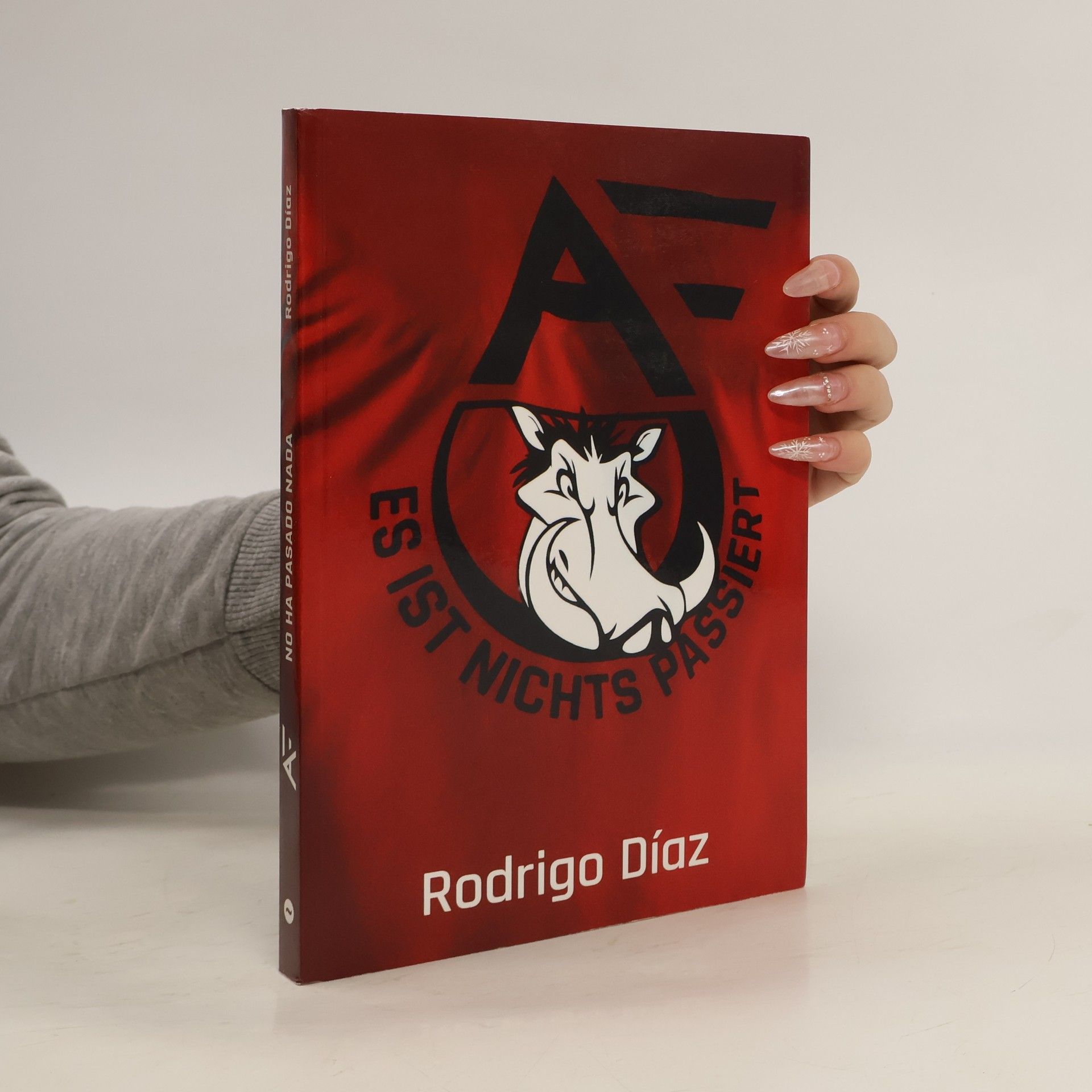 Rodrigo Díaz Es ist nichts passiert. No ha pasado nada