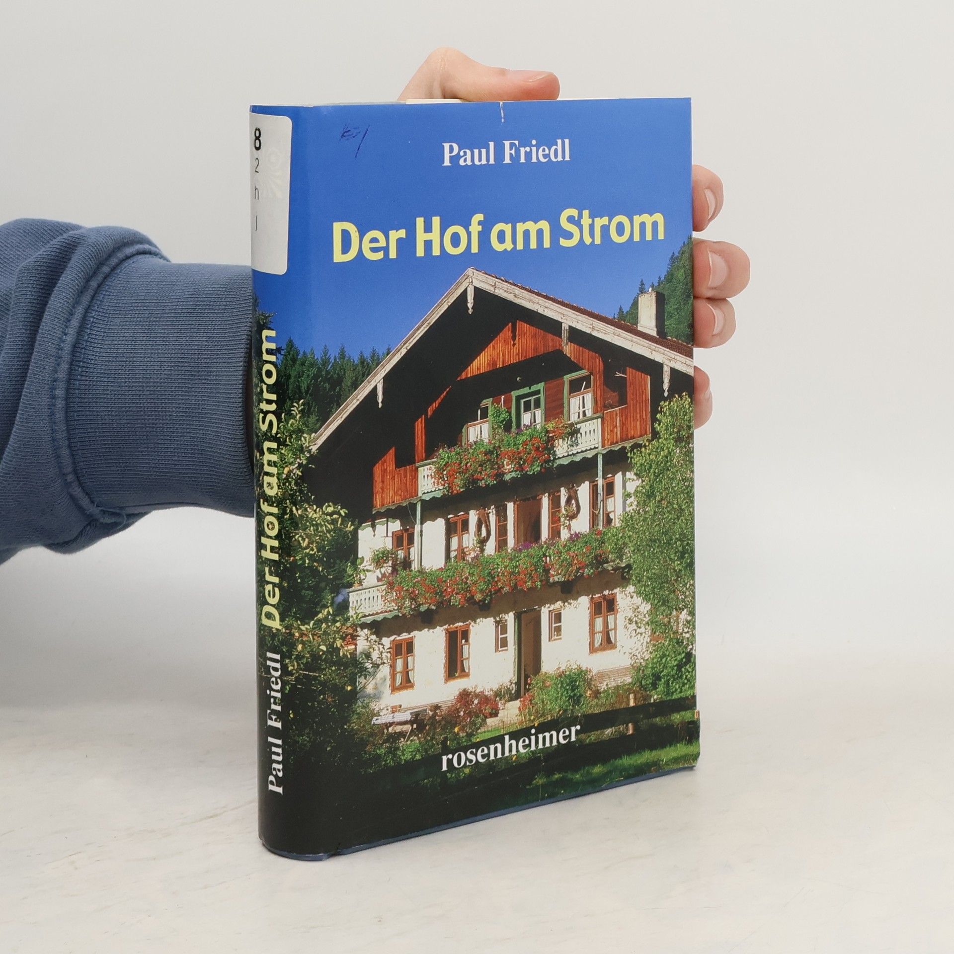 Paul Friedl Der Hof am Strom