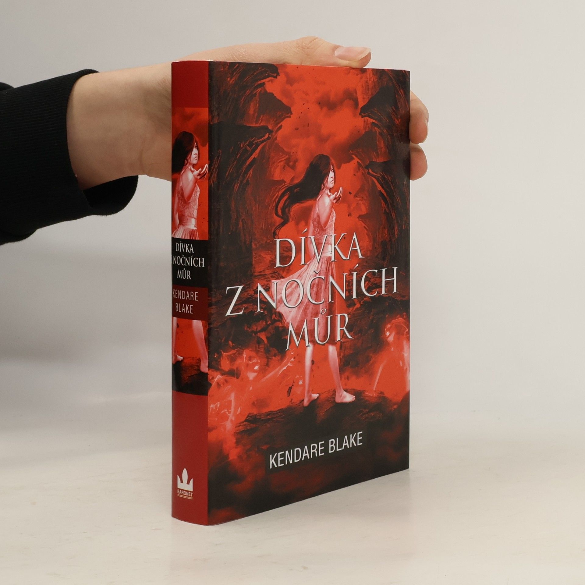 Dívka z nočních můr