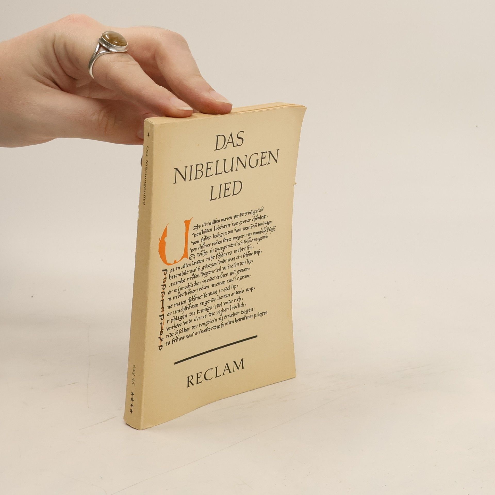 Autorenkollektiv Das Nibelungenlied
