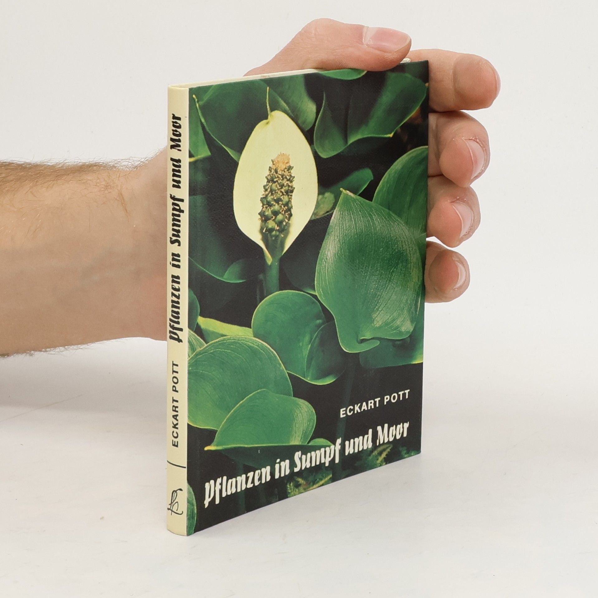 Eckart Pott Pflanzen in Sumpf und Moor
